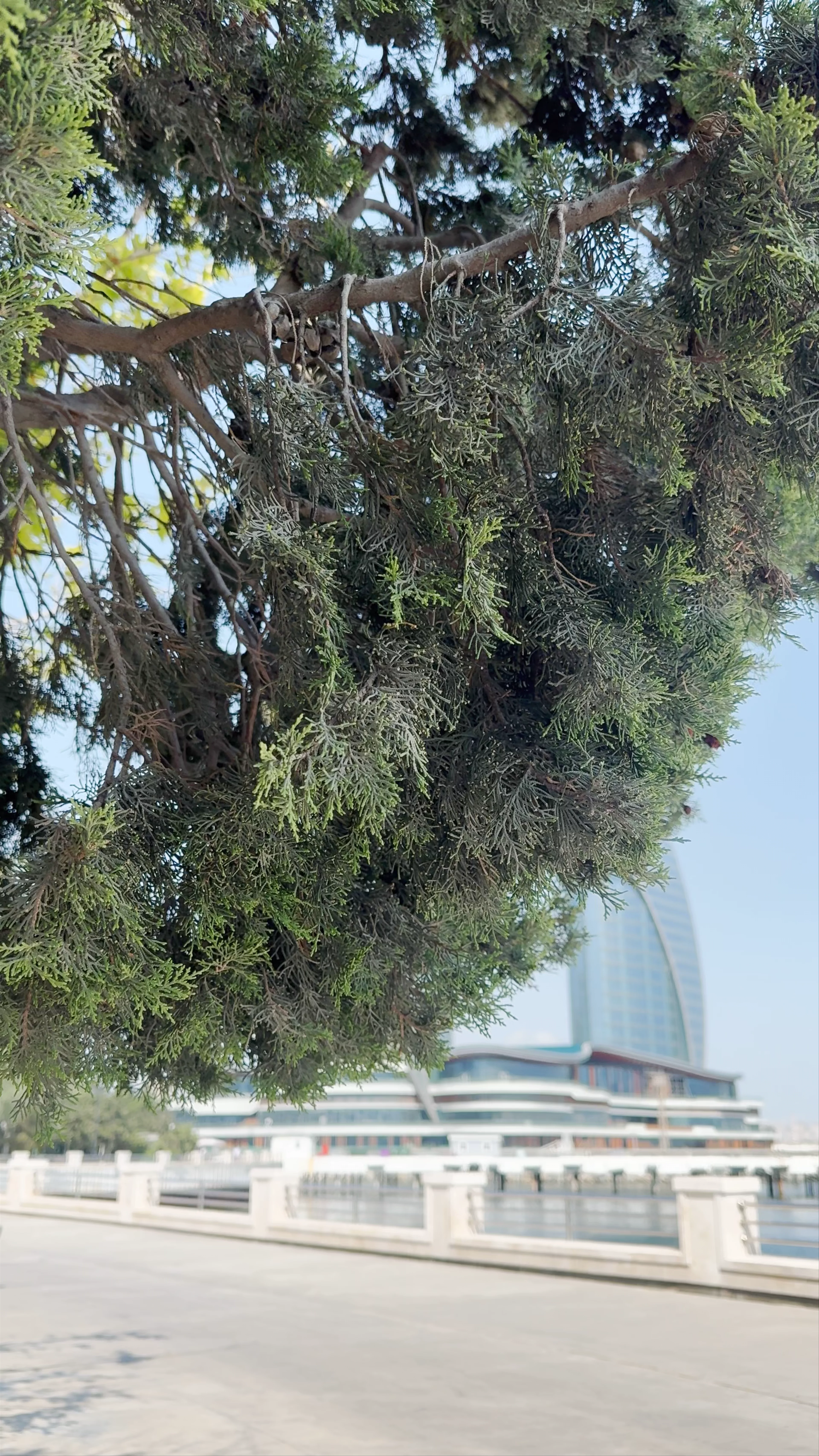 Marina Port