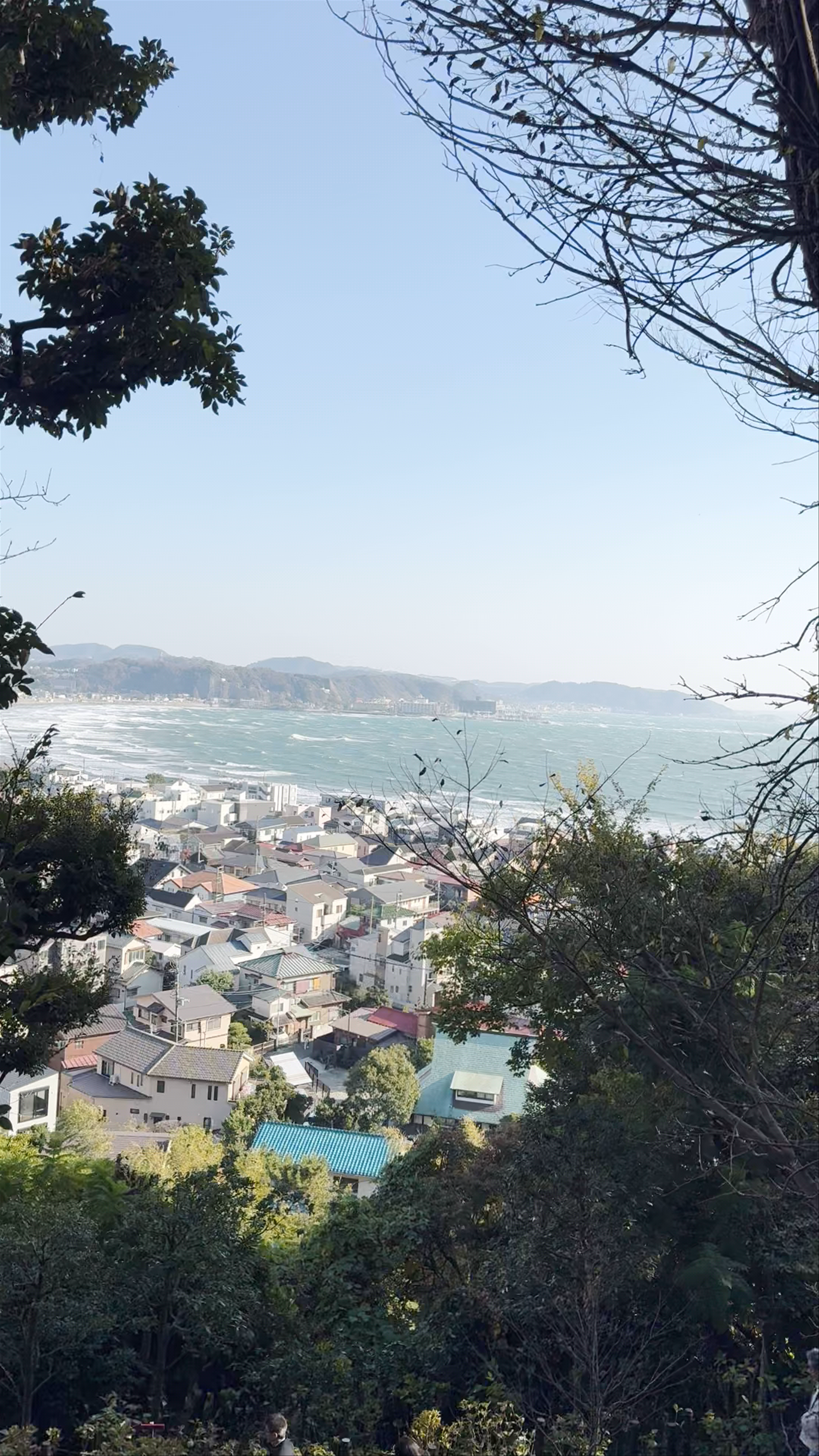 Scenic Coastal Views from Templo Kotoku-in, Kamakura, Japan
