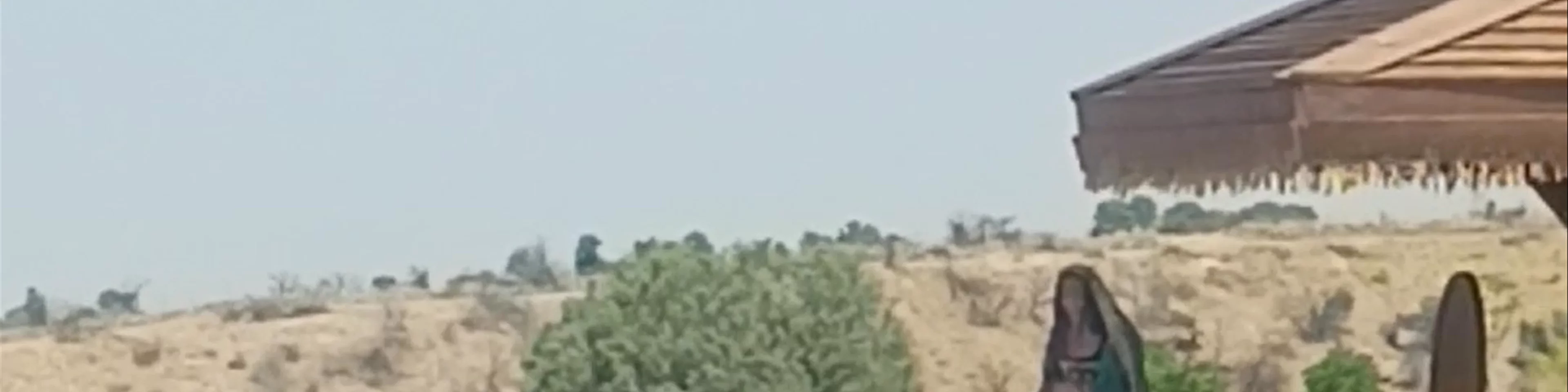 Espectáculo de Aves Rapaces