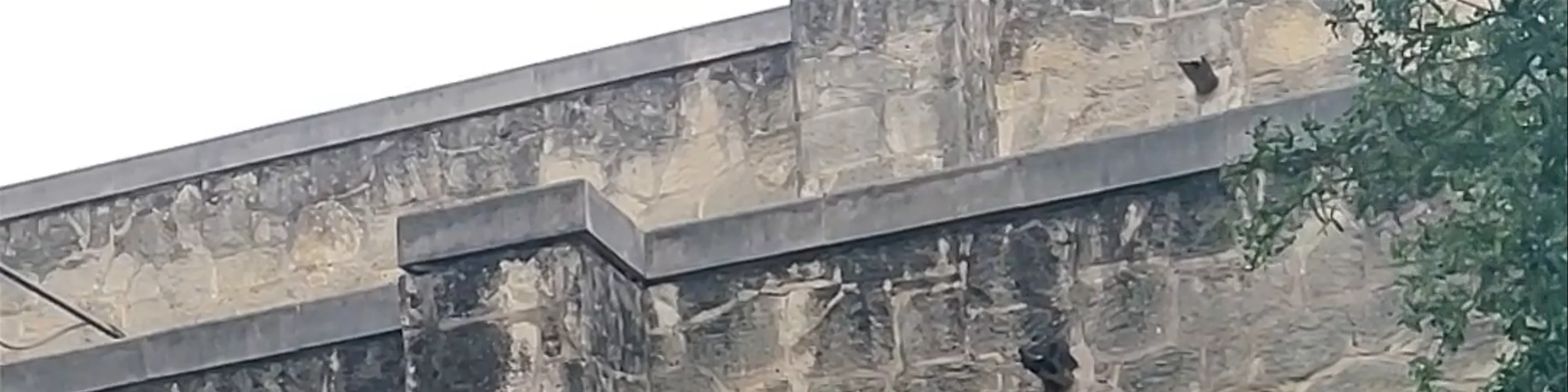 The Alamo