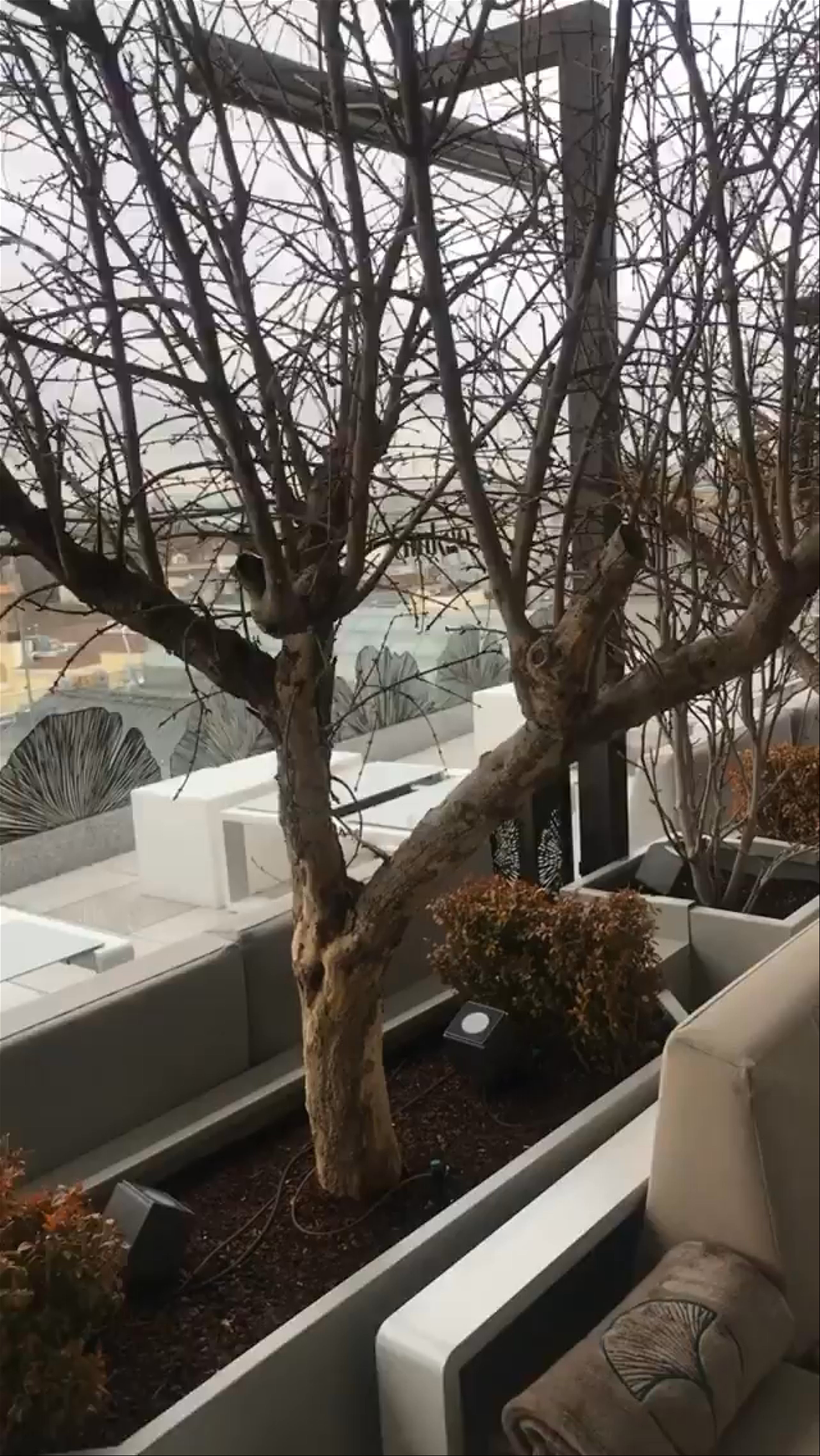 VP Plaza España Design Rooftop Lounge - Urban Serenity in Madrid