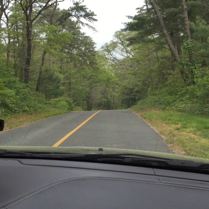 Nickerson State Park - Hiking Near Me - Brewster, Massachusetts