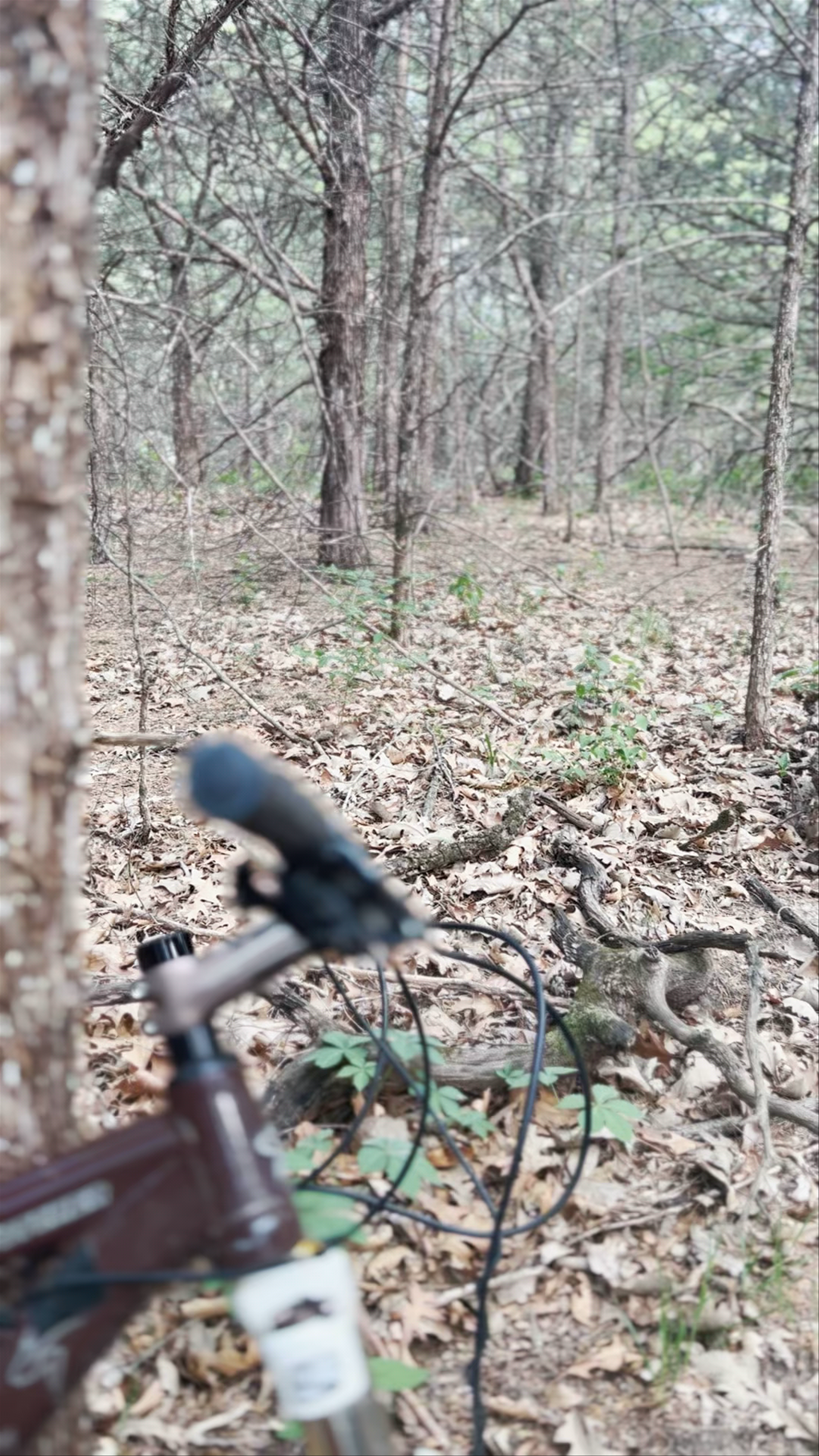 Platte River State Park