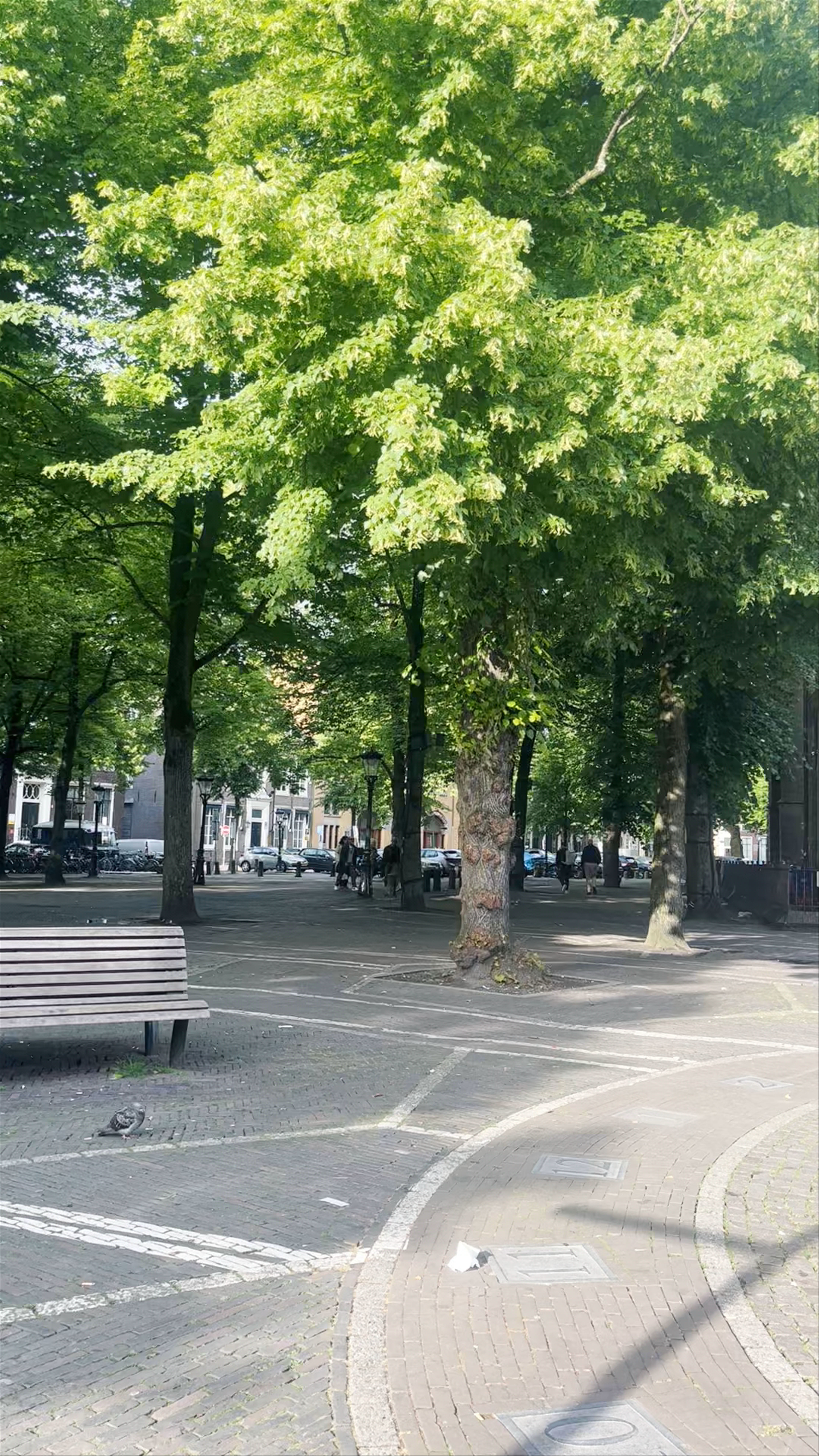 Janskerk and Janskerkhof: A Serene Urban Escape in Utrecht