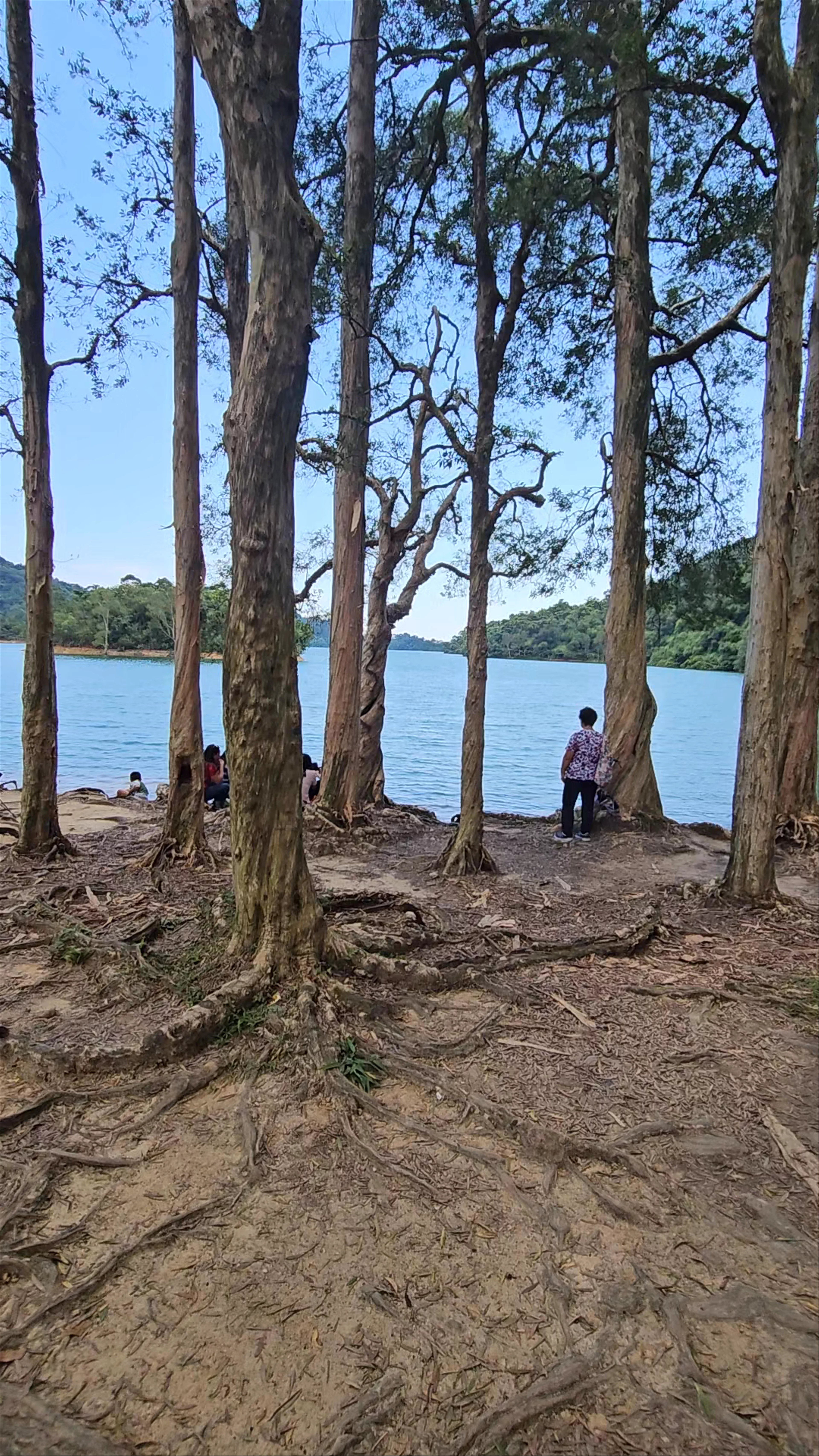 Shing Mun Reservoir