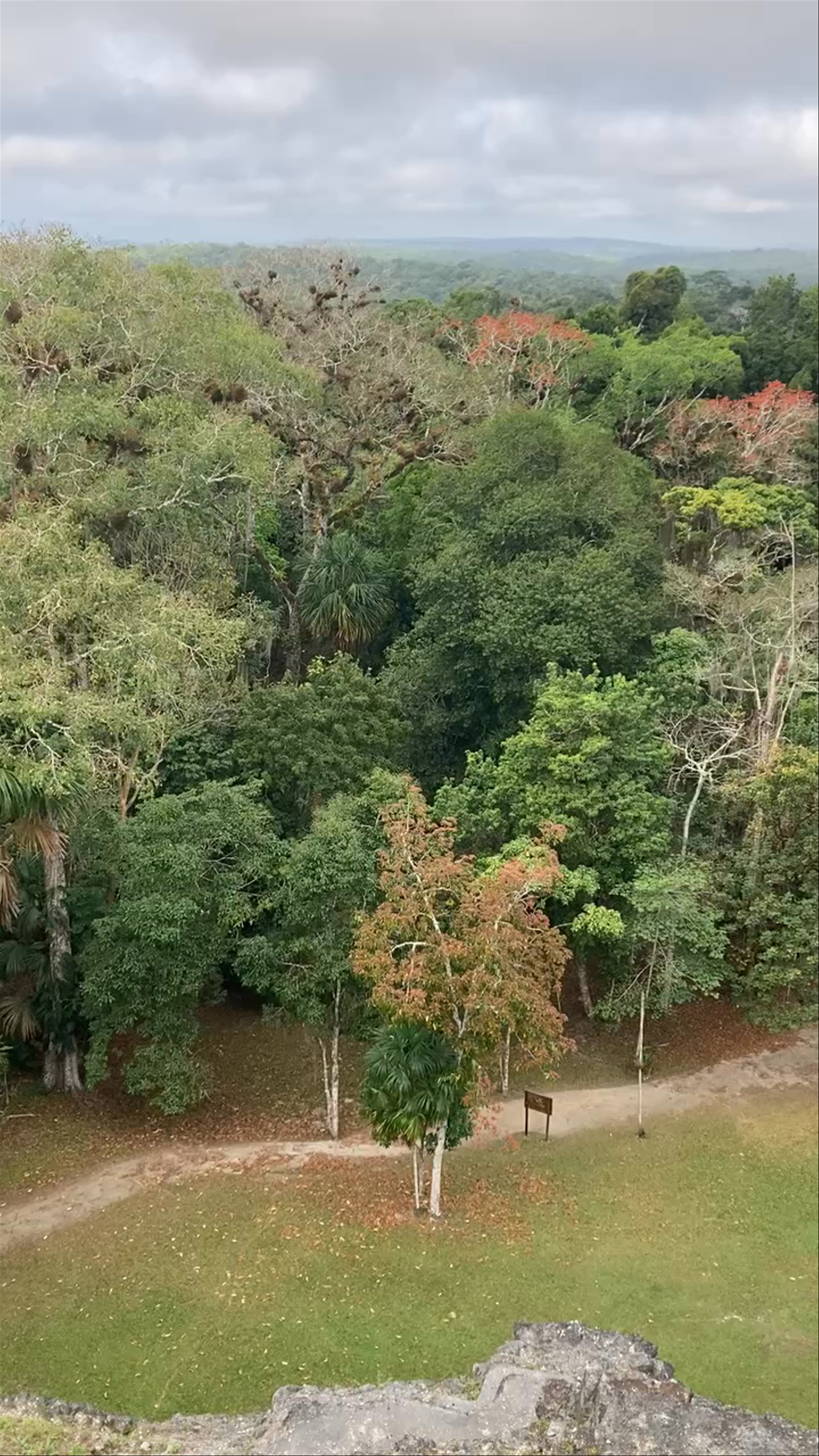 Mundo Perdido, Tikal: Ancient Mayan Ruins Embraced by Jungle