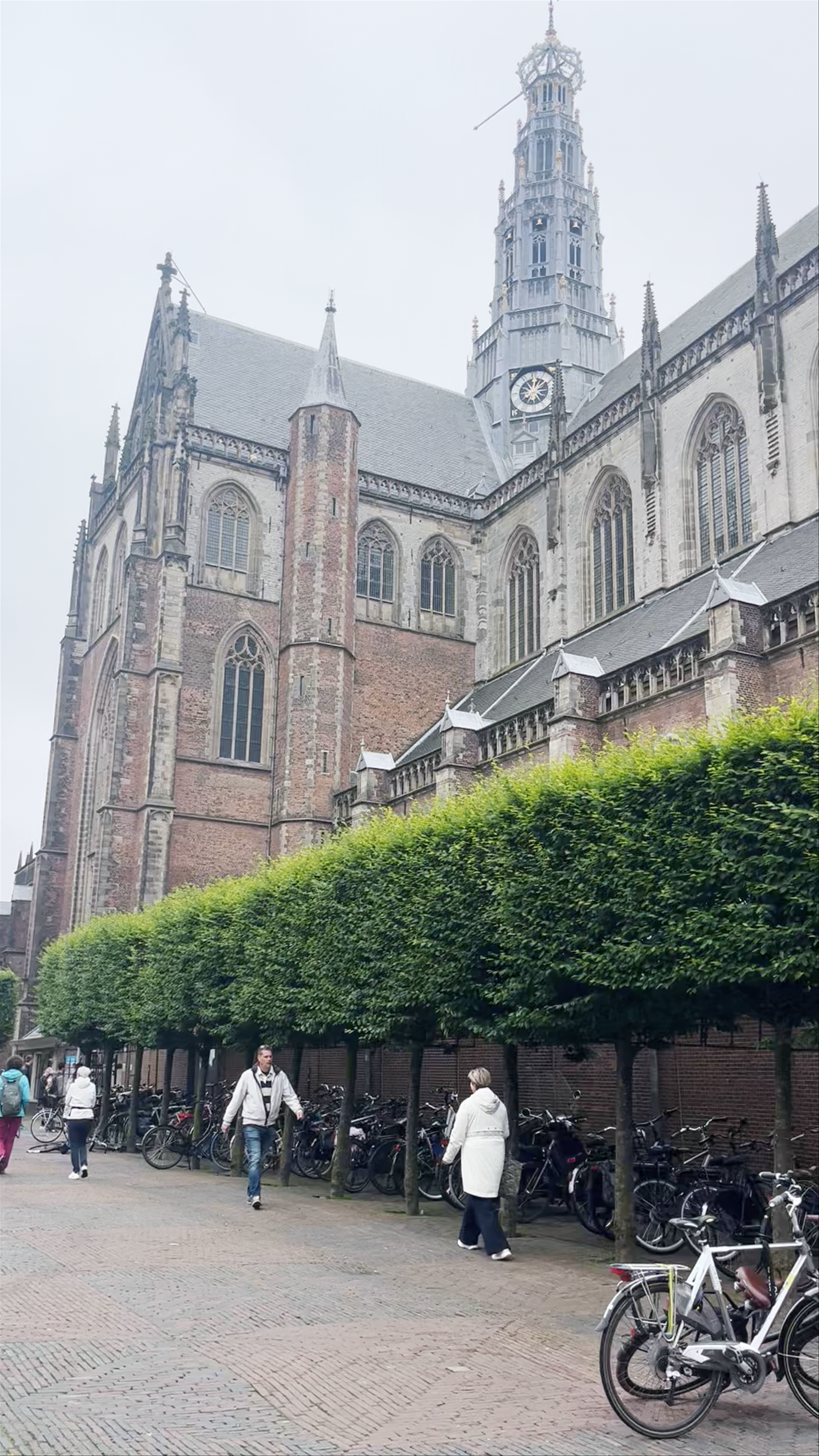 Grote Kerk & Grote Markt: Historic Charm in Haarlem, Netherlands