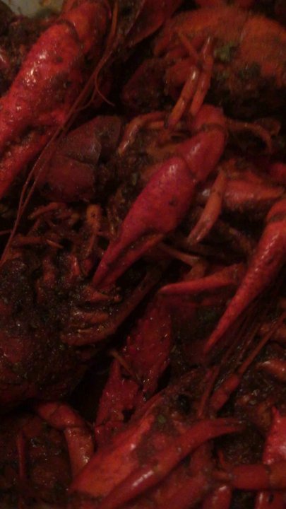 LA Crawfish Shack - Delicious crayfish - Cajun/Creole Near Me - Houston, Texas
