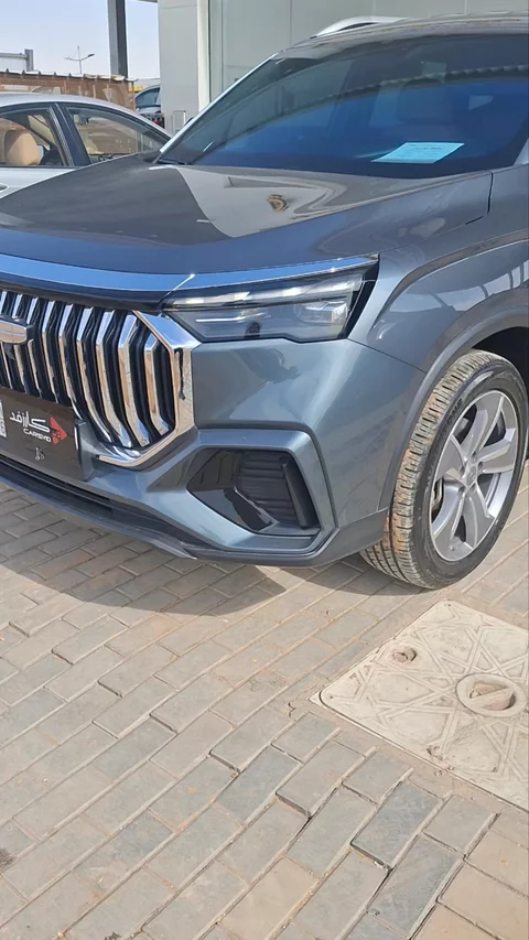 جيلي أوكافانجو Comfort 2024