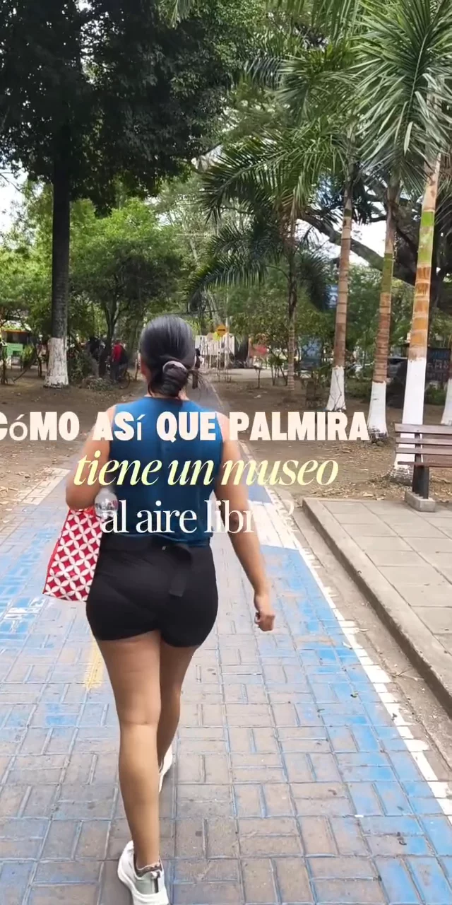 Contenido del creador