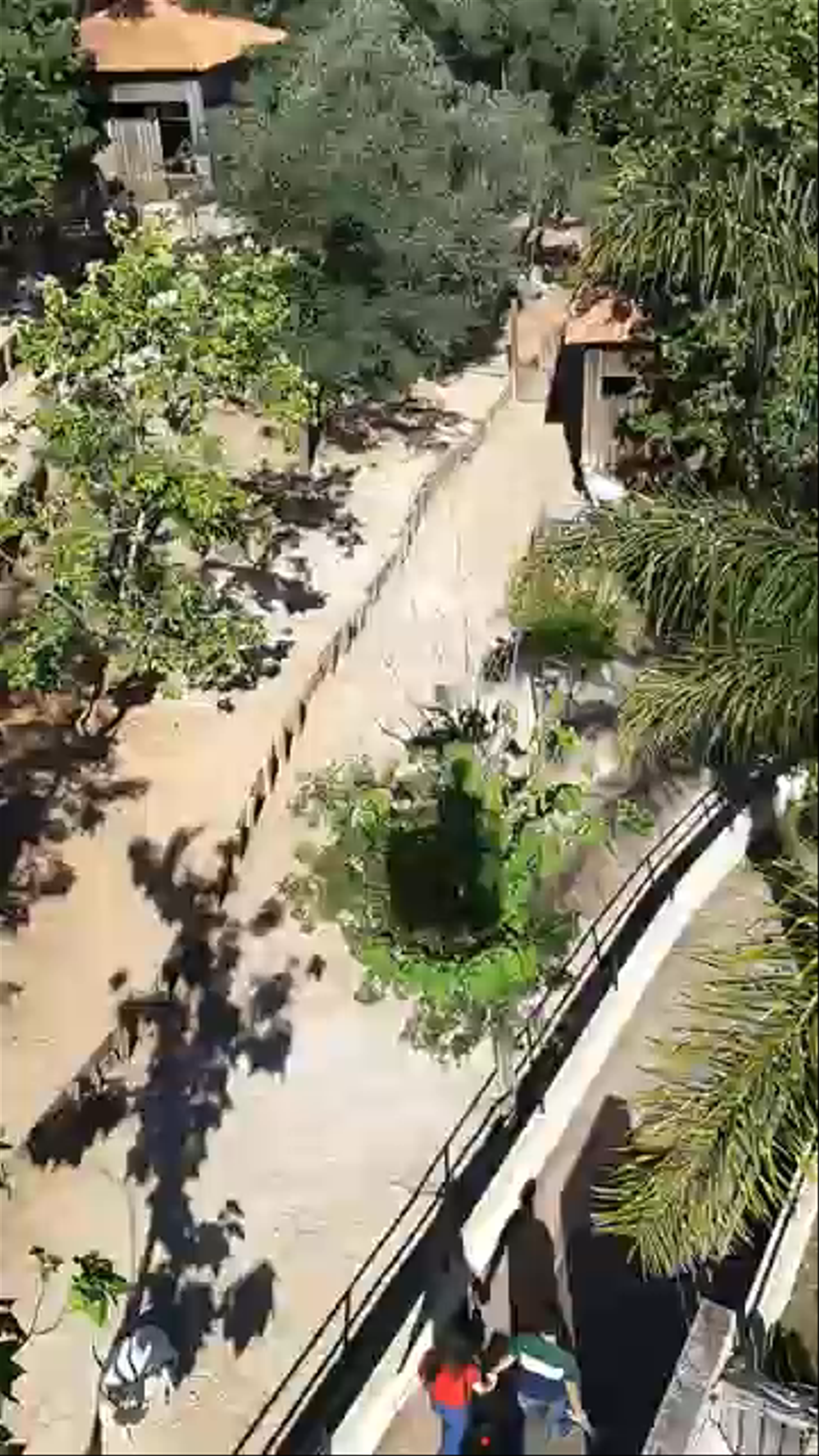 Lisbon Zoo: A Green Oasis Amidst the City