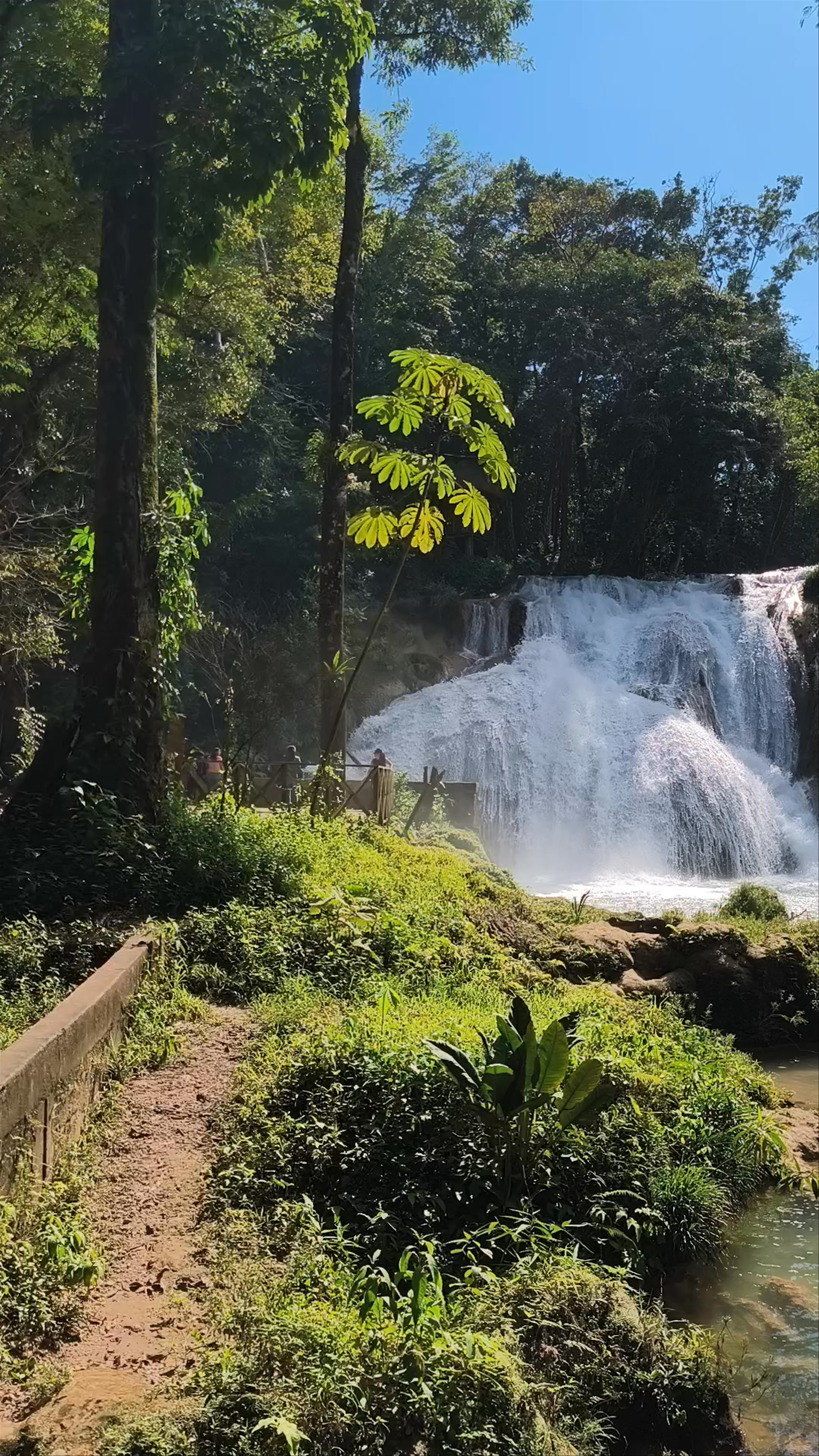 Cascada de Agua Azul: Nature’s Pristine Waterfall in Chiapas, Mexico