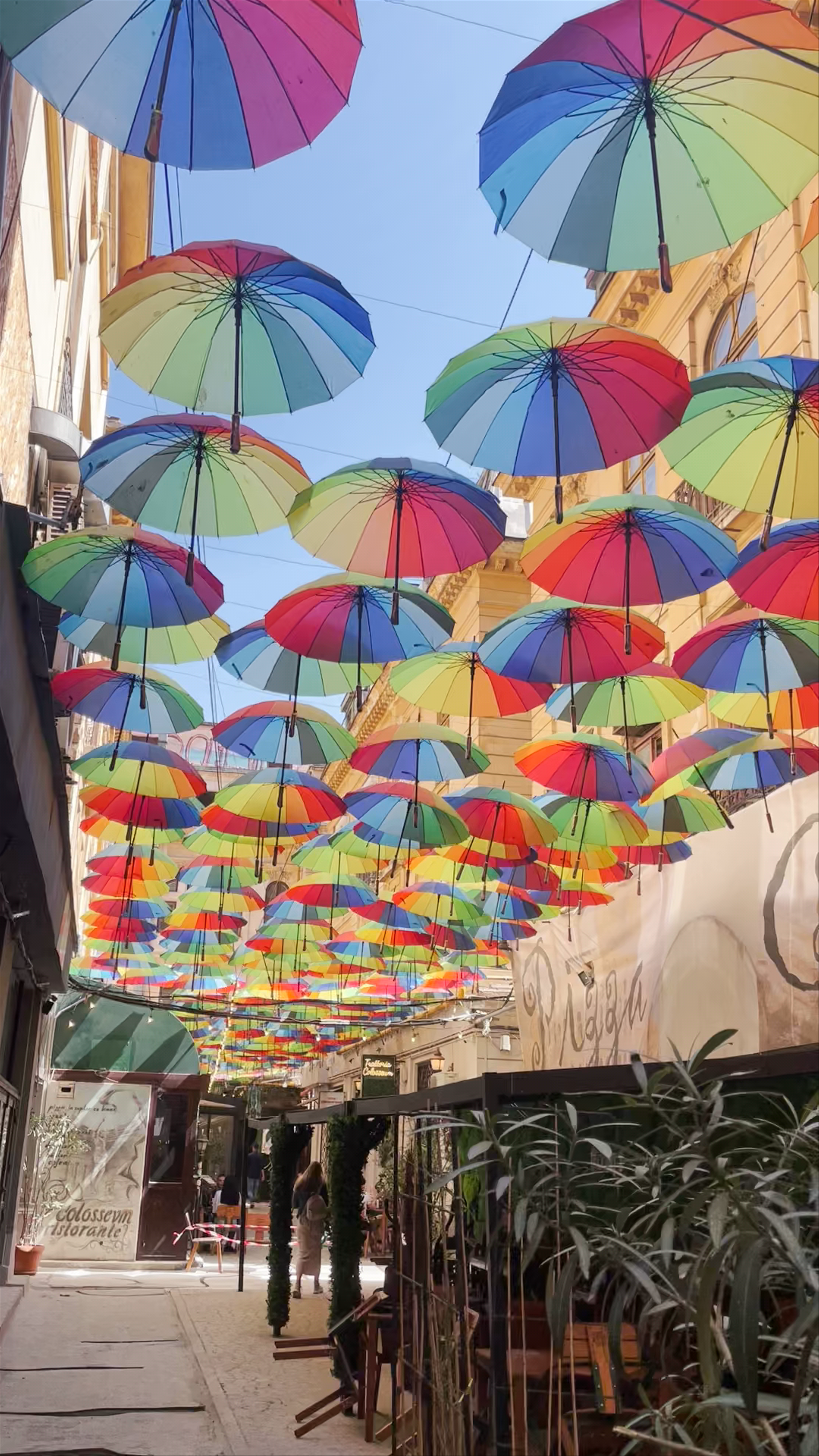 The Umbrella's Street: Colorful Canopy in Bucharest