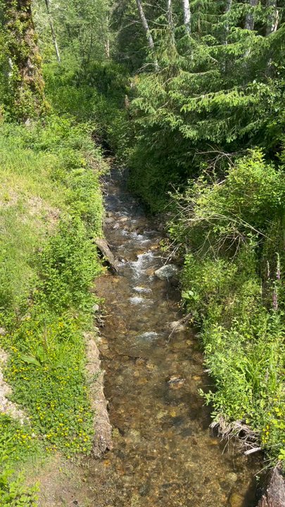 Taylor Mountain Trail - Water - Hiking Near Me - Issaquah, Washington