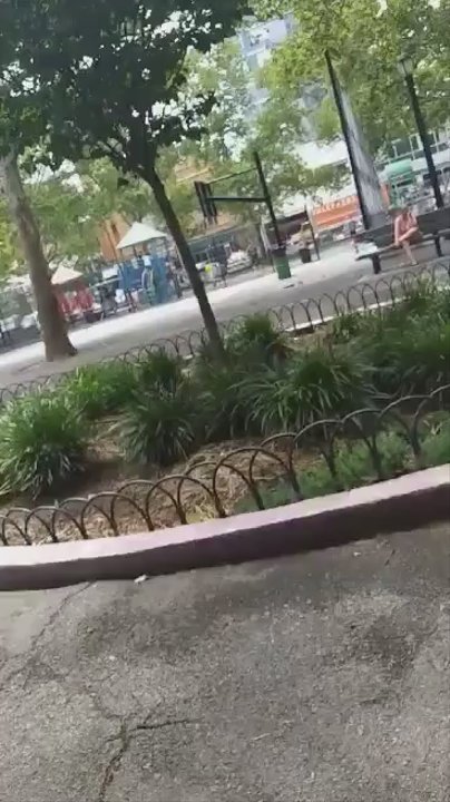 Frederick Douglass Playground - Isaias  Ernesto Tenorio and I did sit together near each other on the 1st bench  in Frederick Douglass Playground! - Playgrounds Near Me - New York, New York