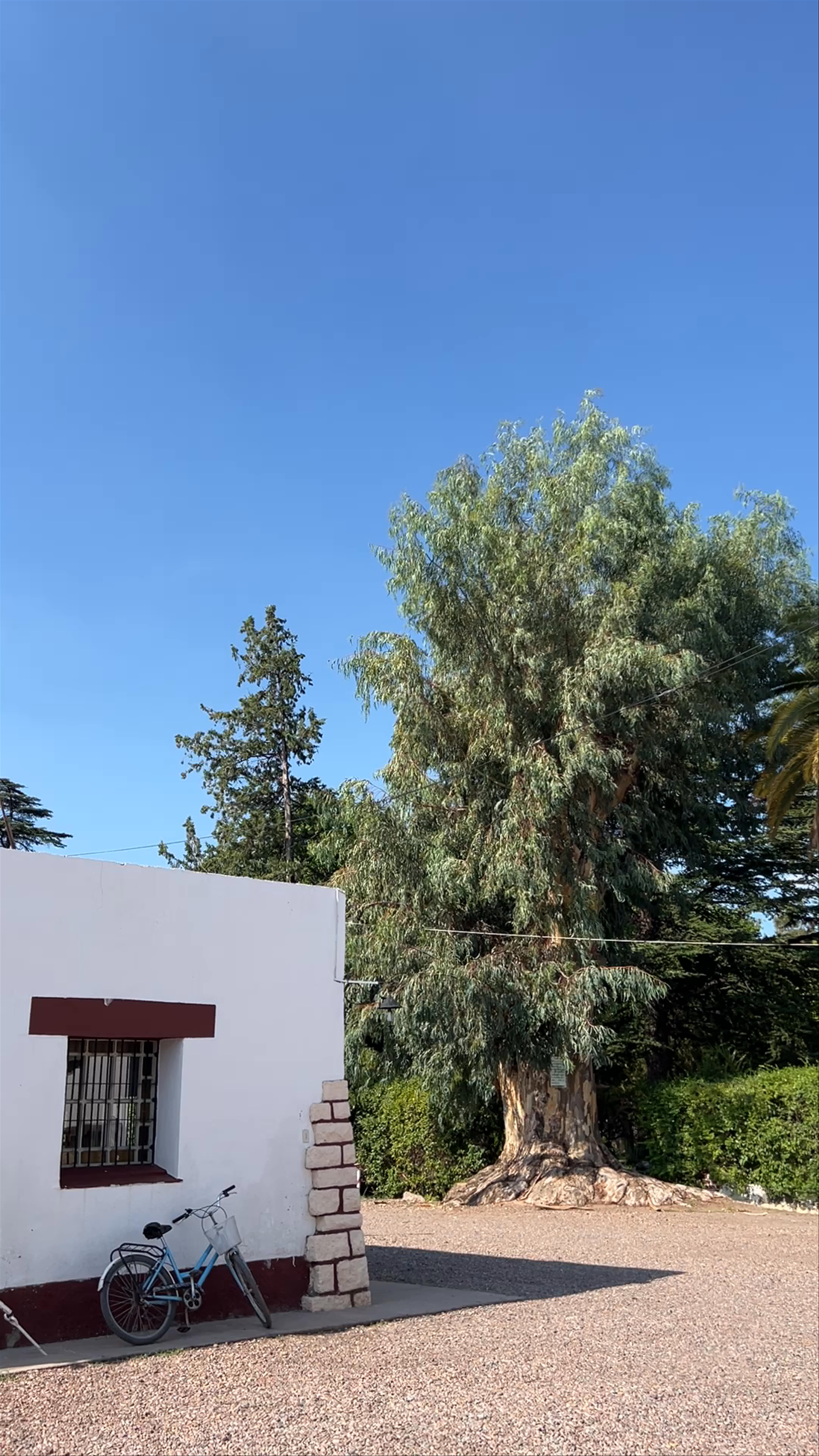 Bodega Florio Mendoza