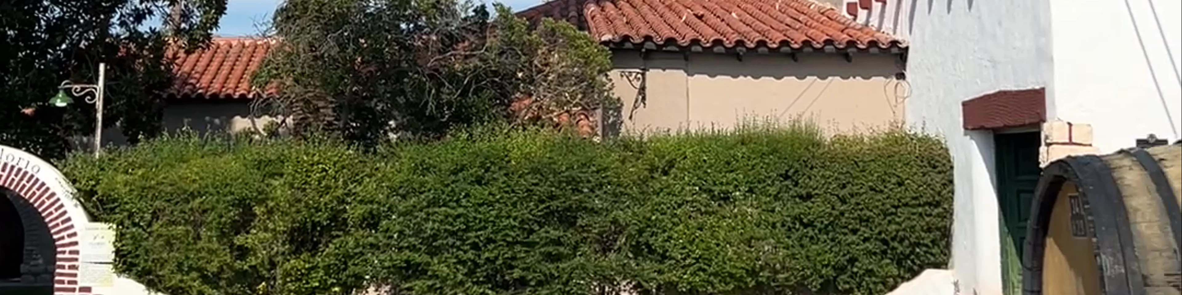 Bodega Florio Mendoza
