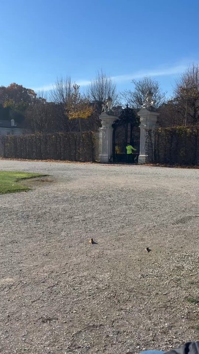 Belvedere Garten - Parks Near Me - Vienna, 9