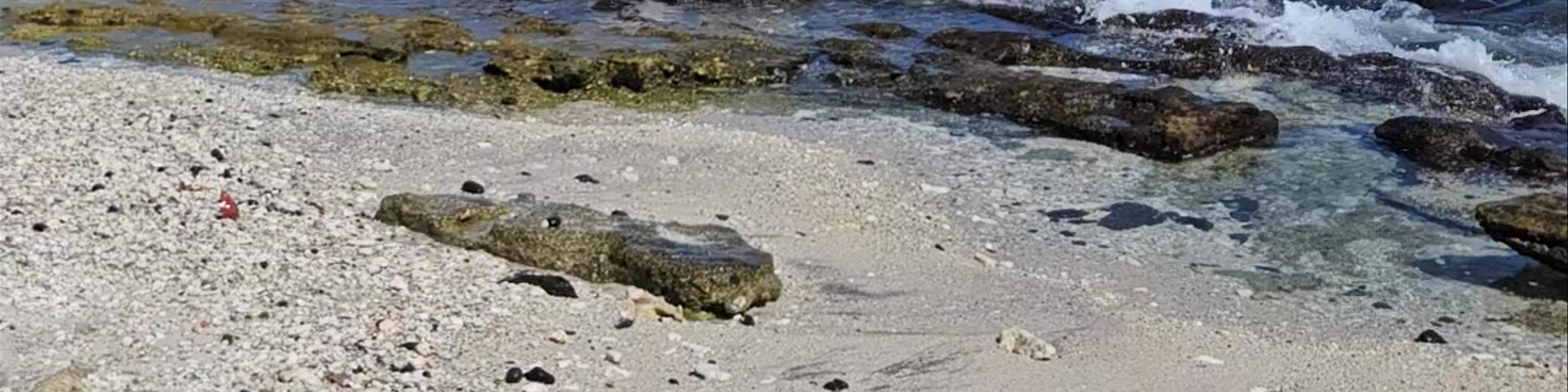 Plage du cimetière