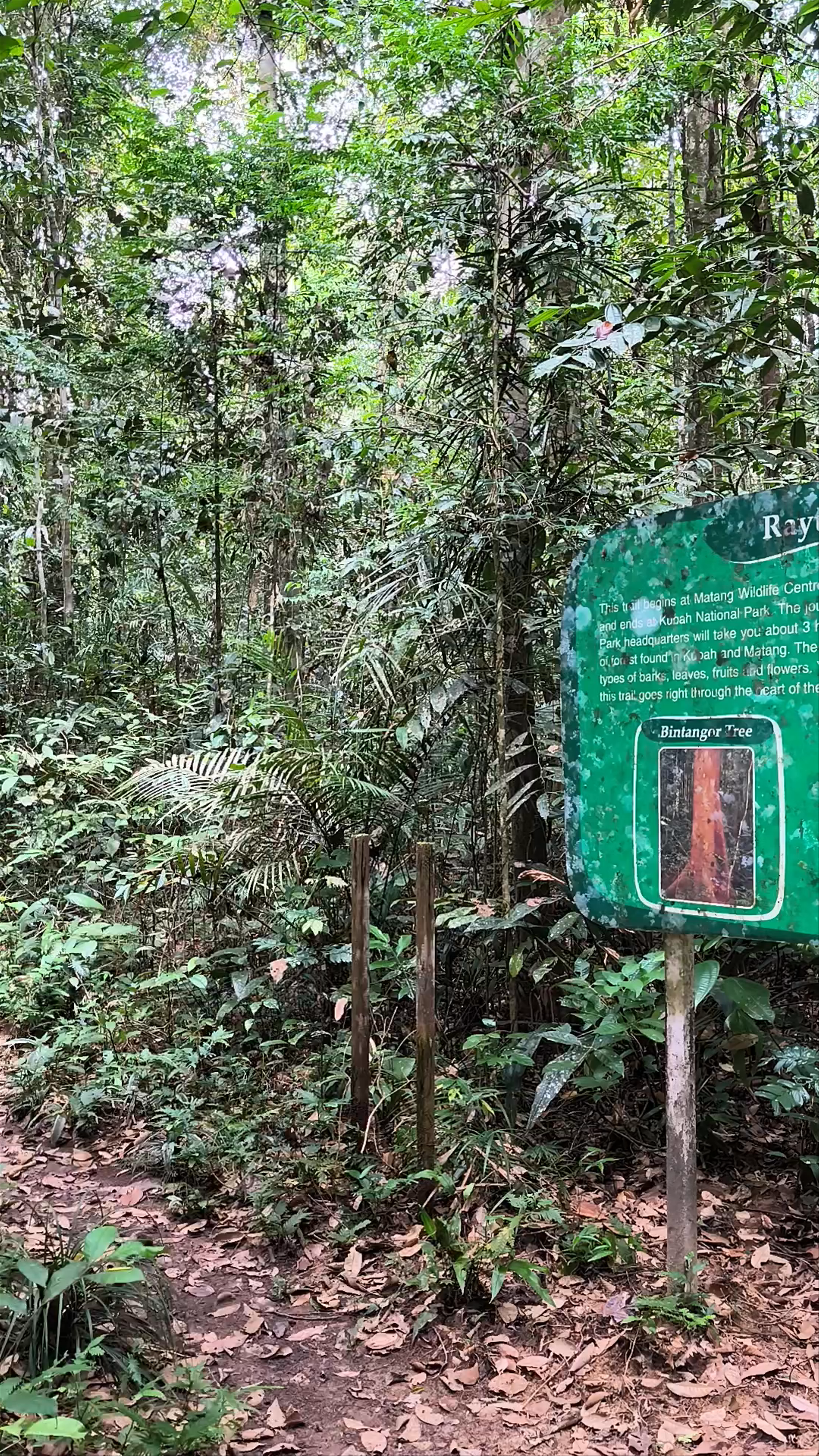 Taman Negara Kubah