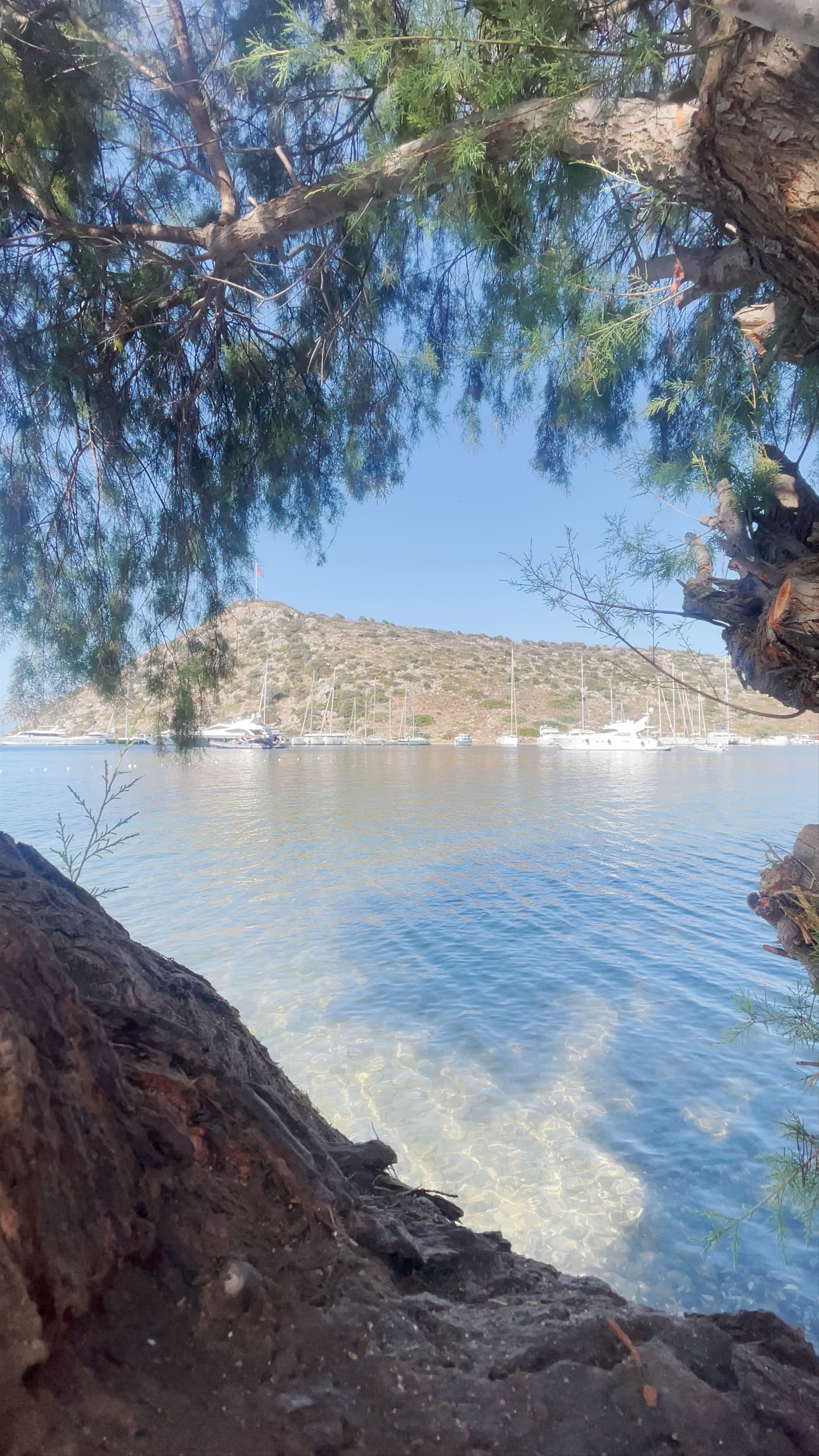 Serene Coastal Escape at Gümüşlük Beach, Bodrum