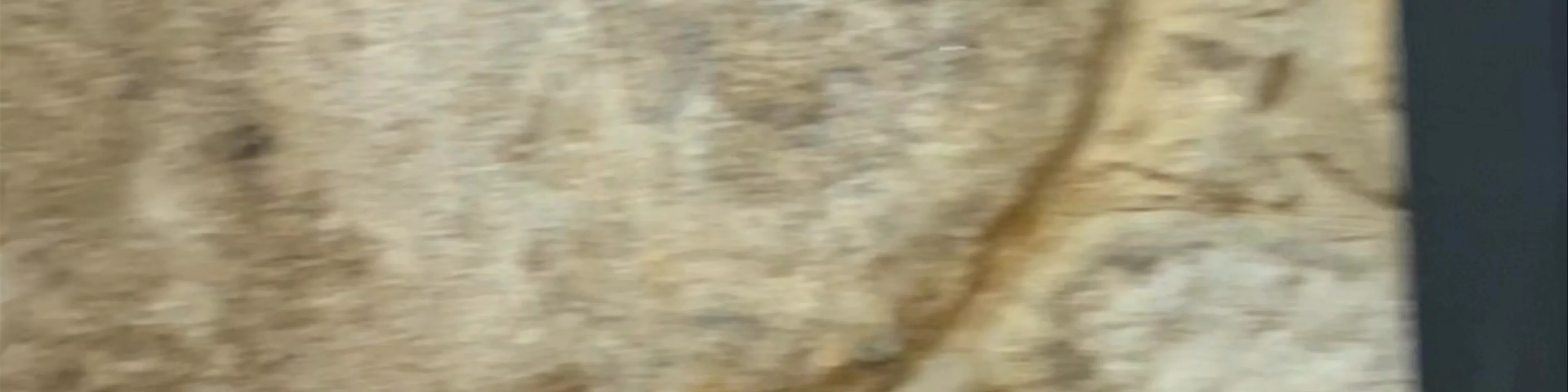 Caves Cálem