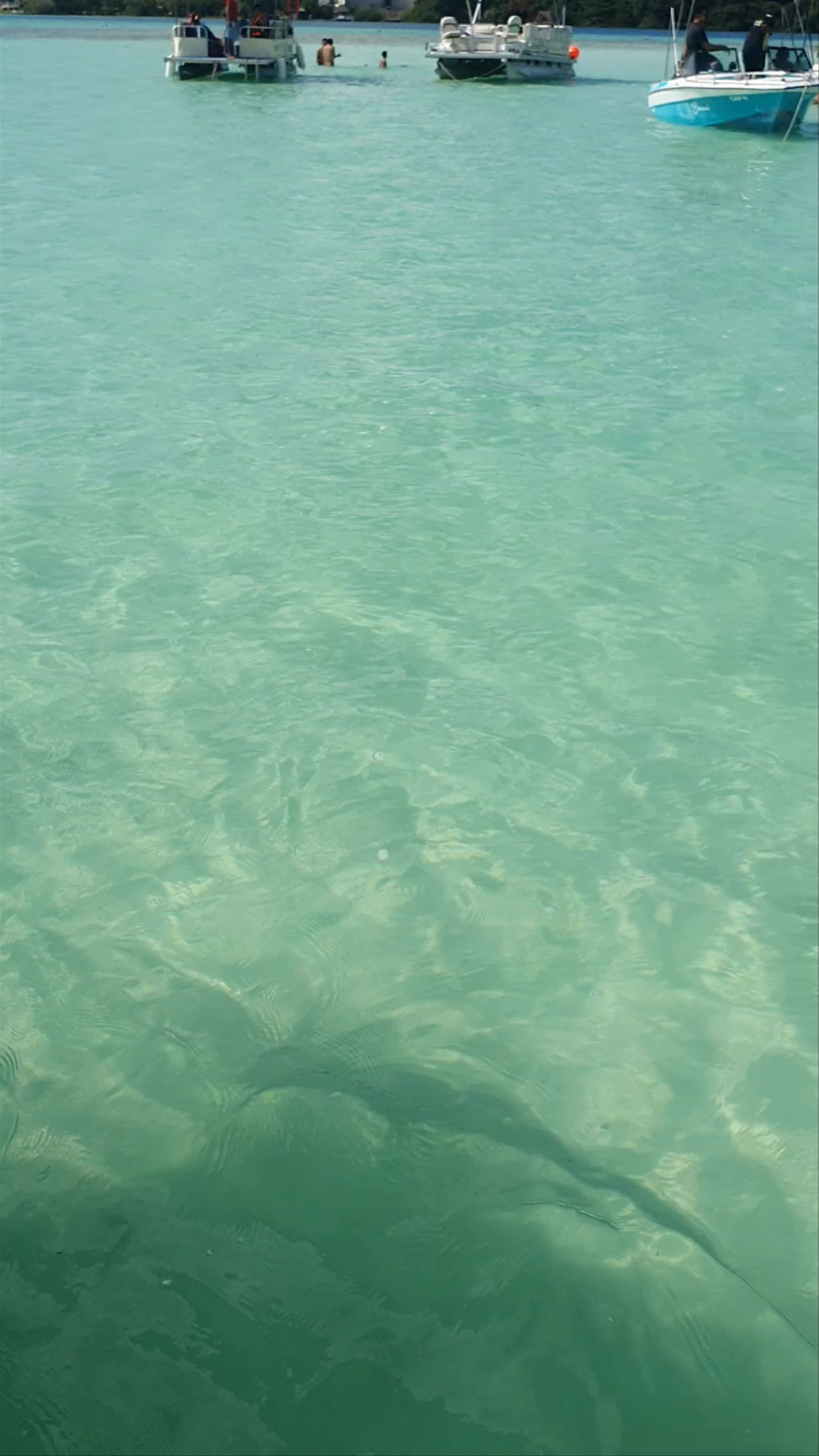Bacalar Lagoon: Crystal Waters & Serene Vibes in Quintana Roo