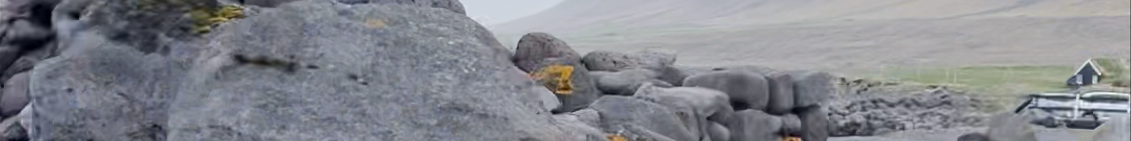 Tours & experiences in Sauðárkrókur