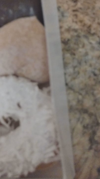 Mr. Donuts - Great selection of awesome donuts! Blueberry  Strawberry  Long John Twists and Chocolate too! - Donuts Near Me - Aurora, Colorado