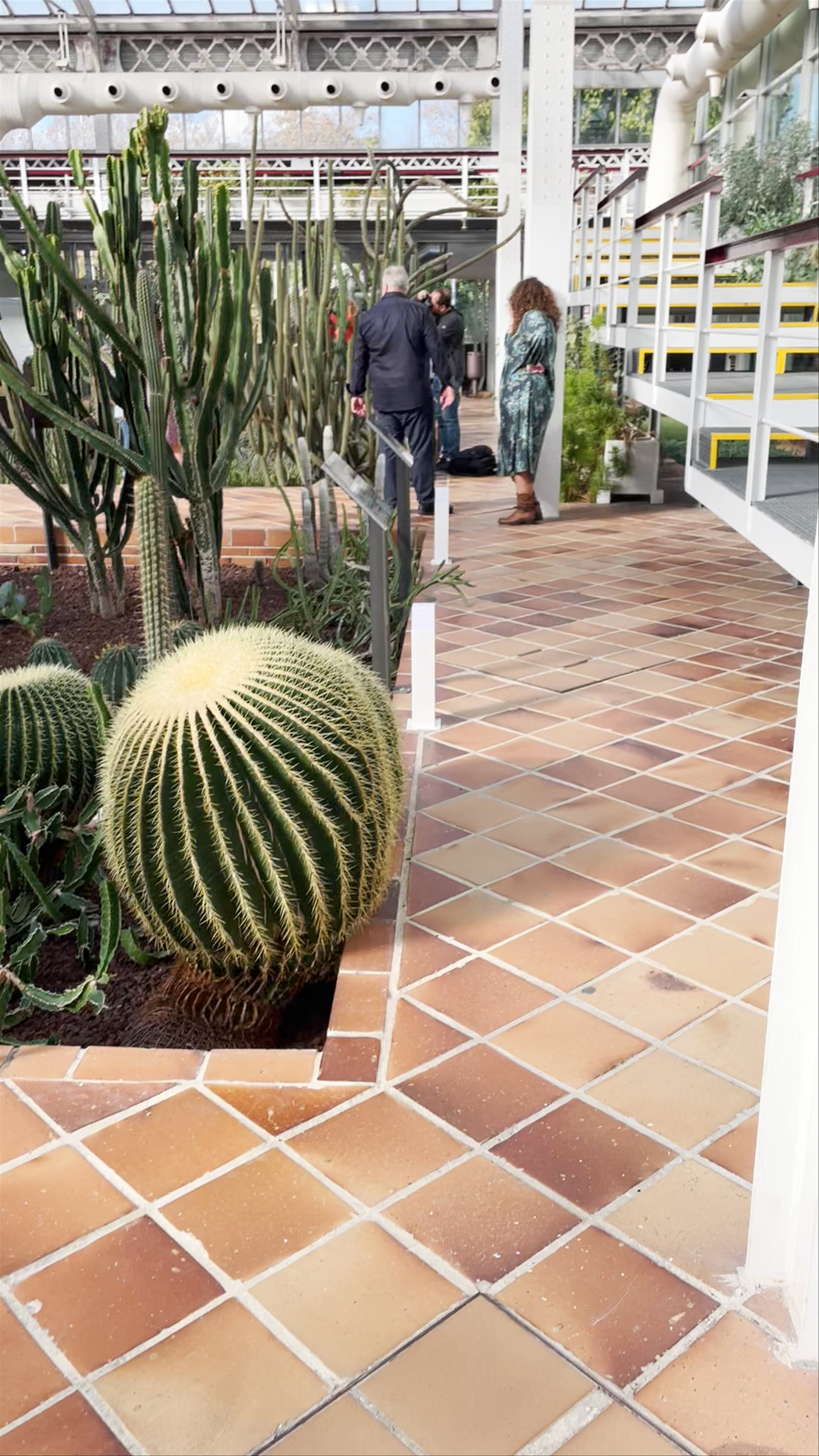 Invernadero del Palacio de Cristal de Arganzuela, Madrid: A Light-Filled Oasis of Cacti