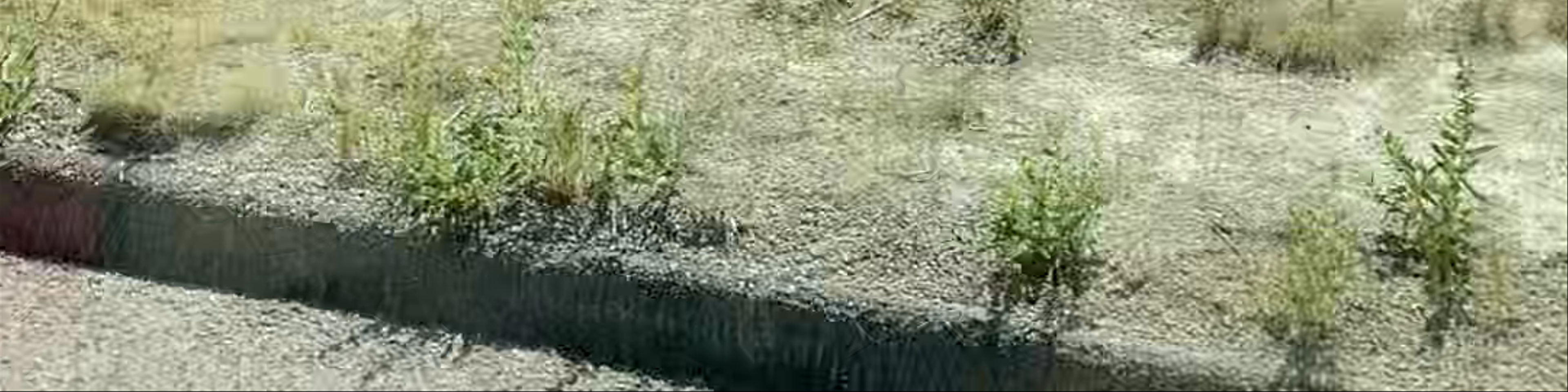 Wall