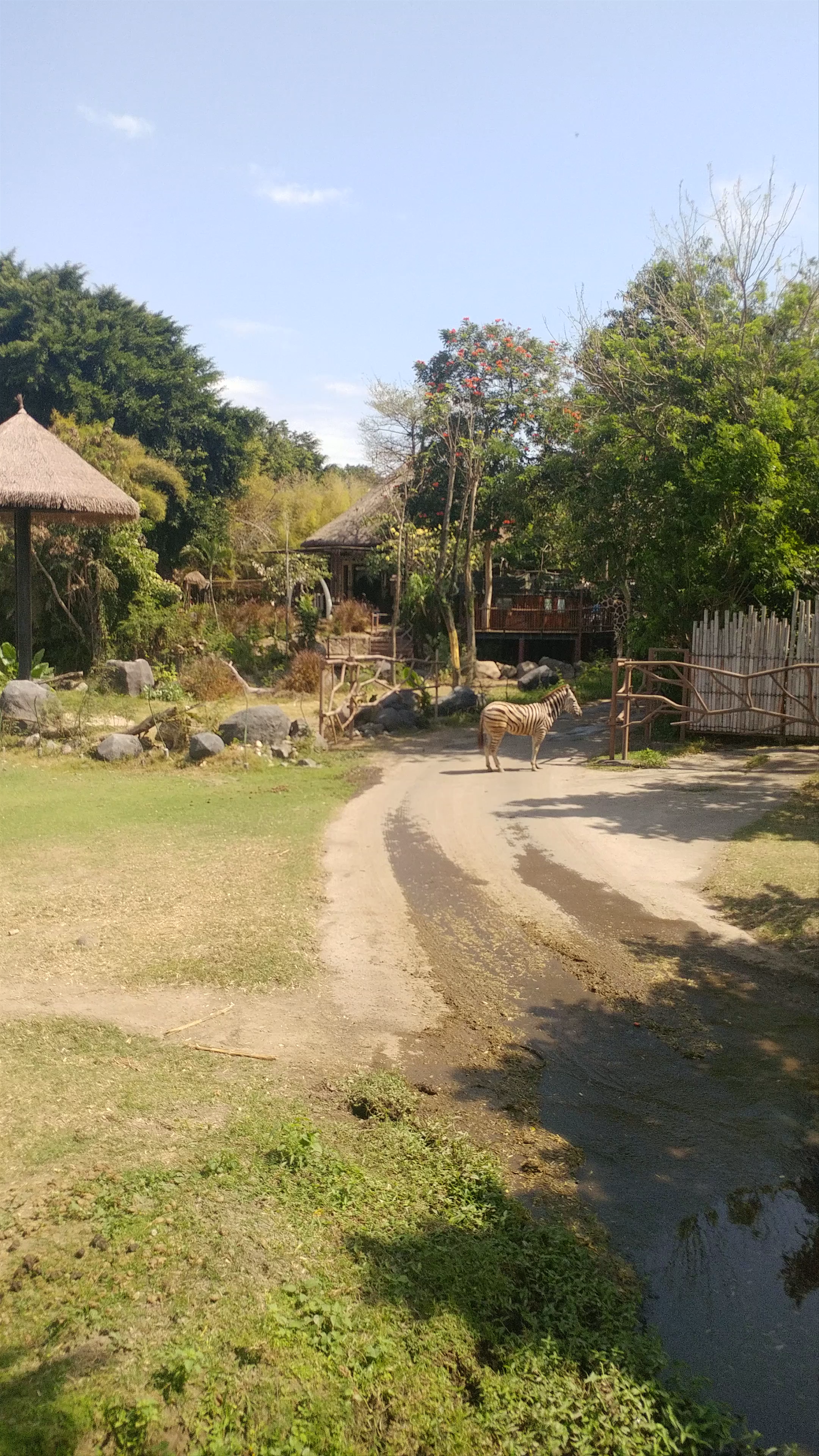 Bali Safari and Marine Park 