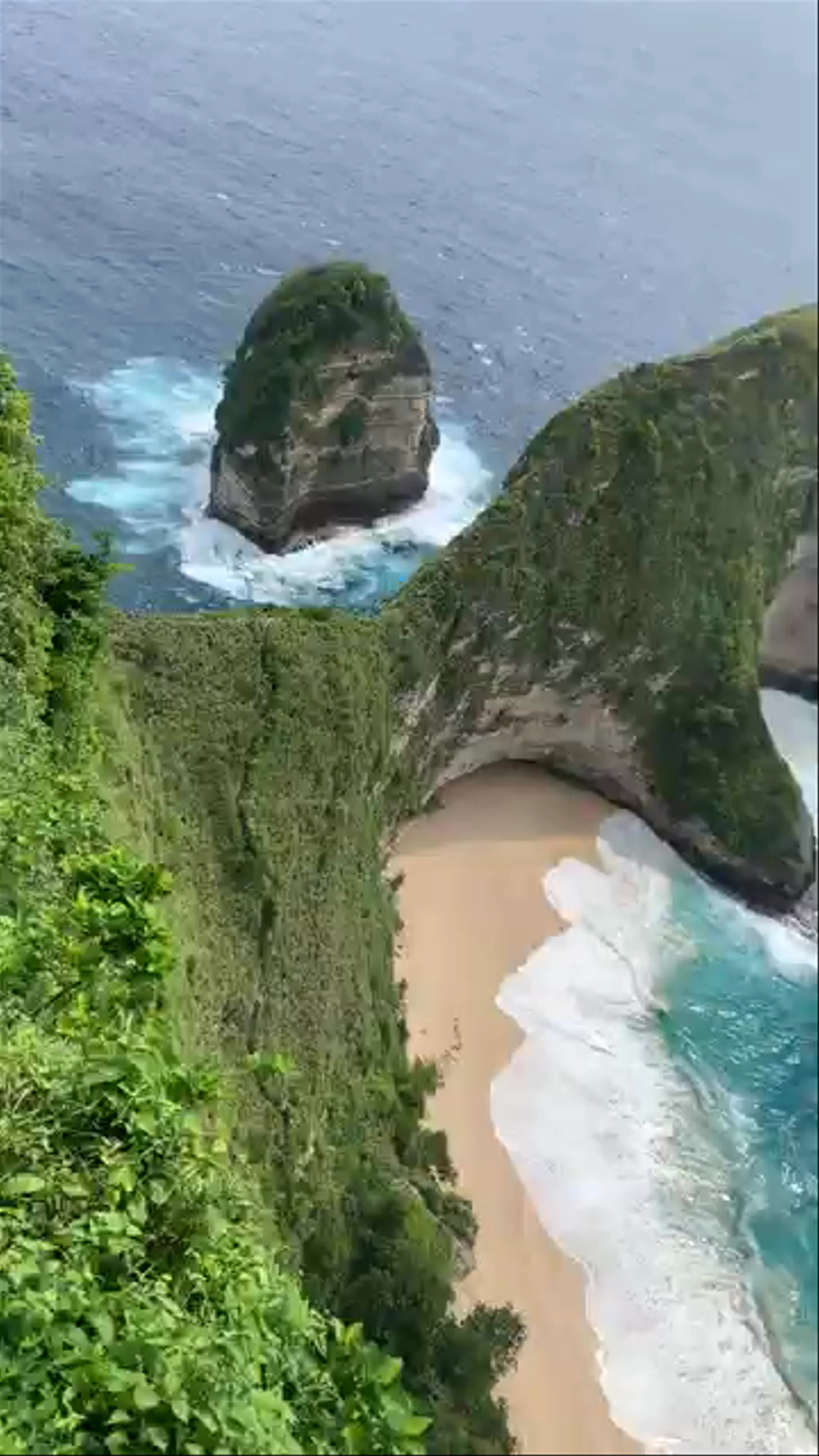 Kelingking Beach, Bunga Mekar