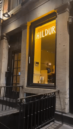 Hildur Dumbo