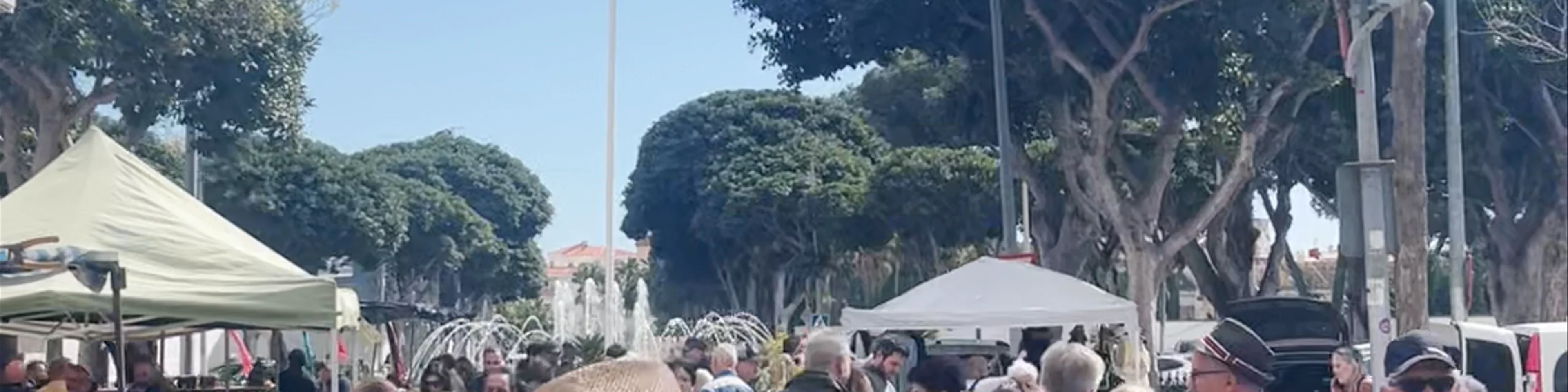 Mercadillo de Torremolinos