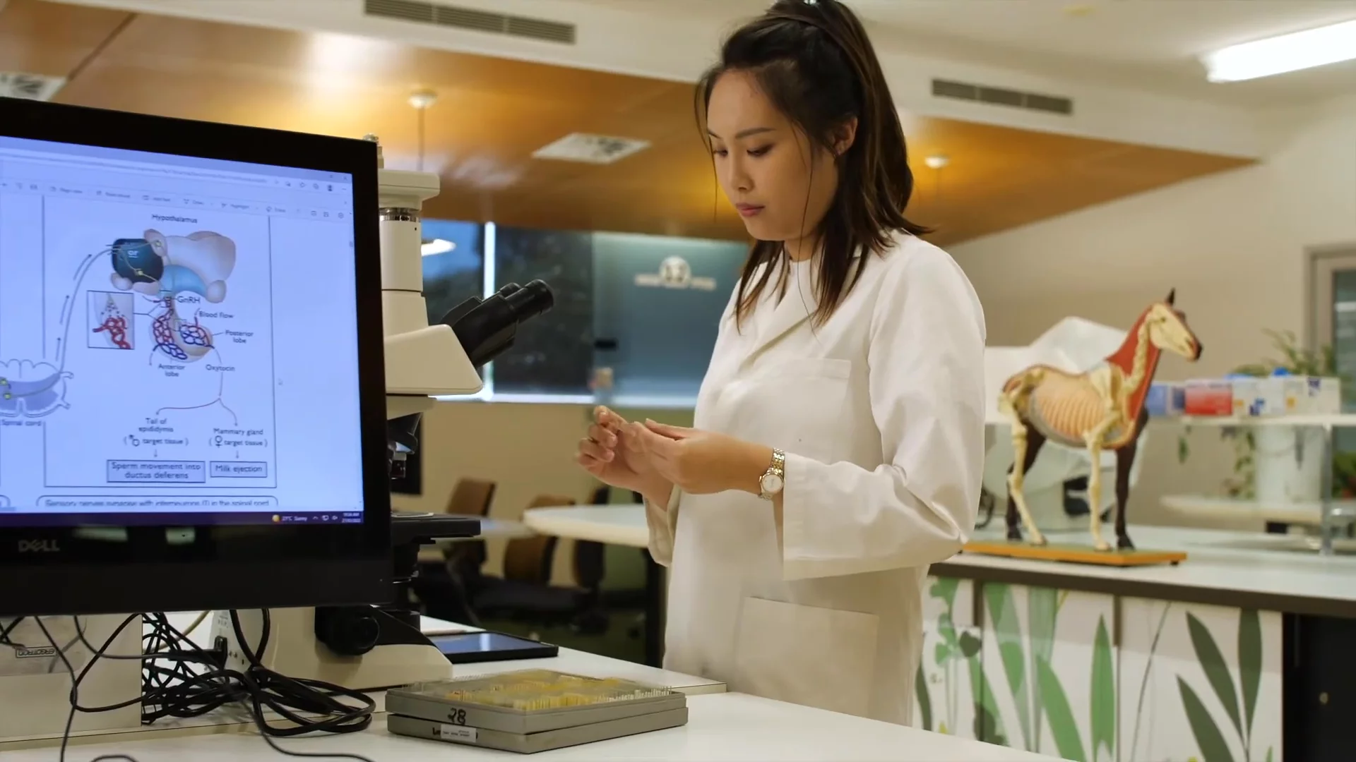 Unlocking Animal Care: A Student's Journey in Veterinary Technology