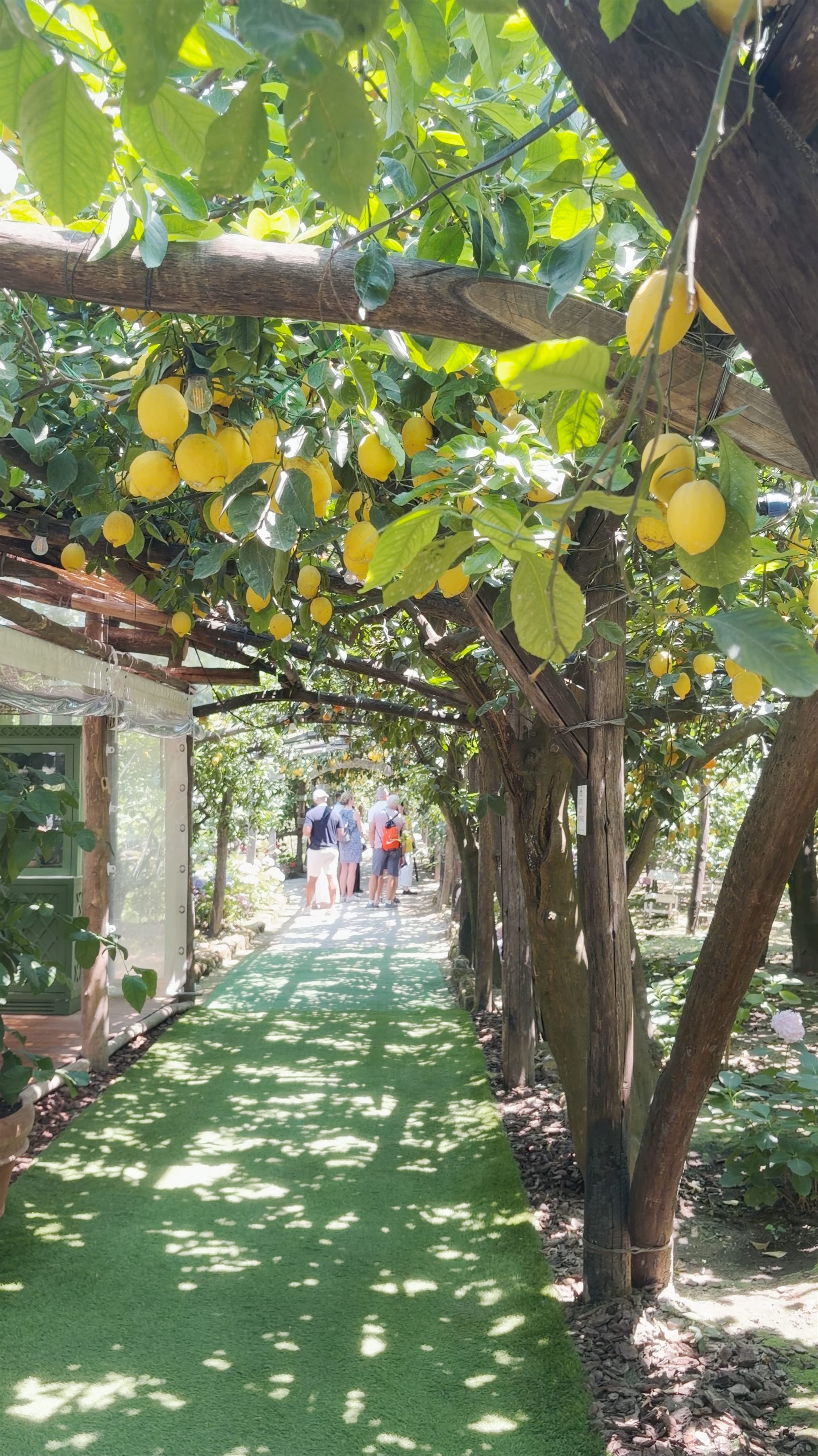 La Limonaia