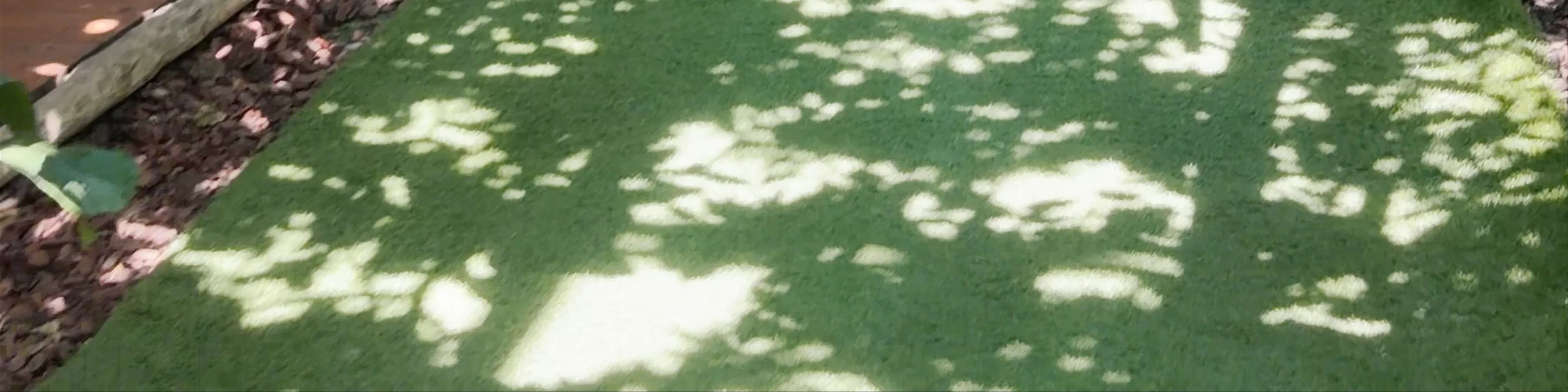 La Limonaia