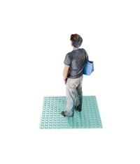 Dry Fortified 3D scan