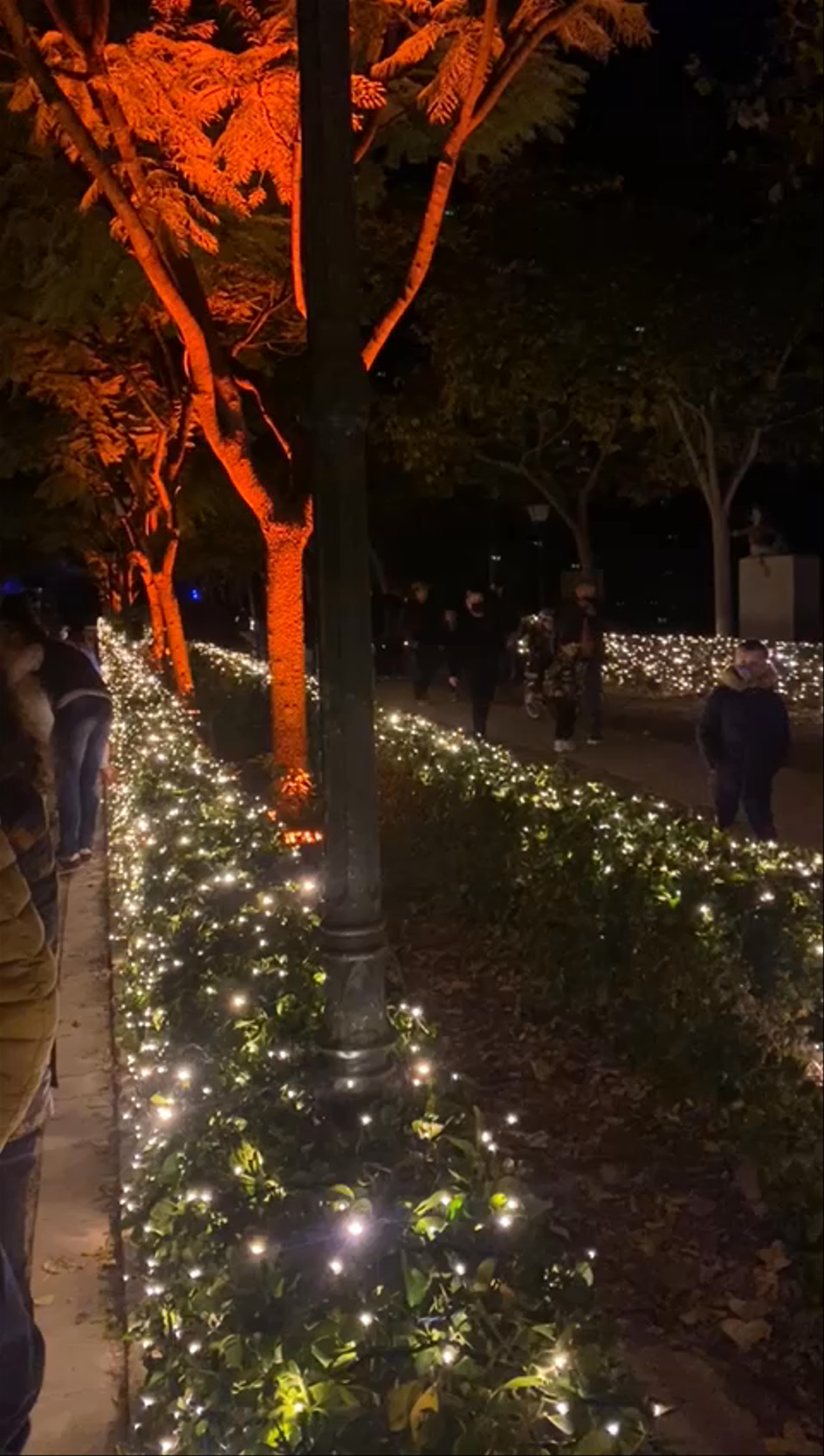 Magical Night Lights at Jardines del Real, Valencia