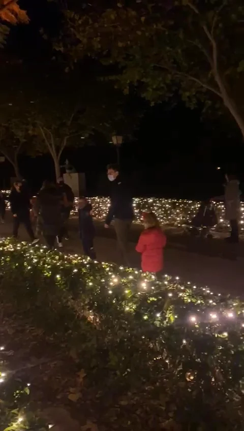 Jardines del Real