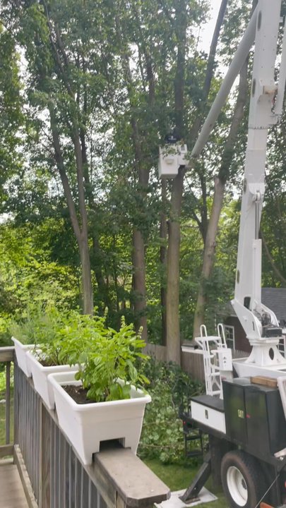 Niz Tree Services - The truck! - Tree Services Near Me