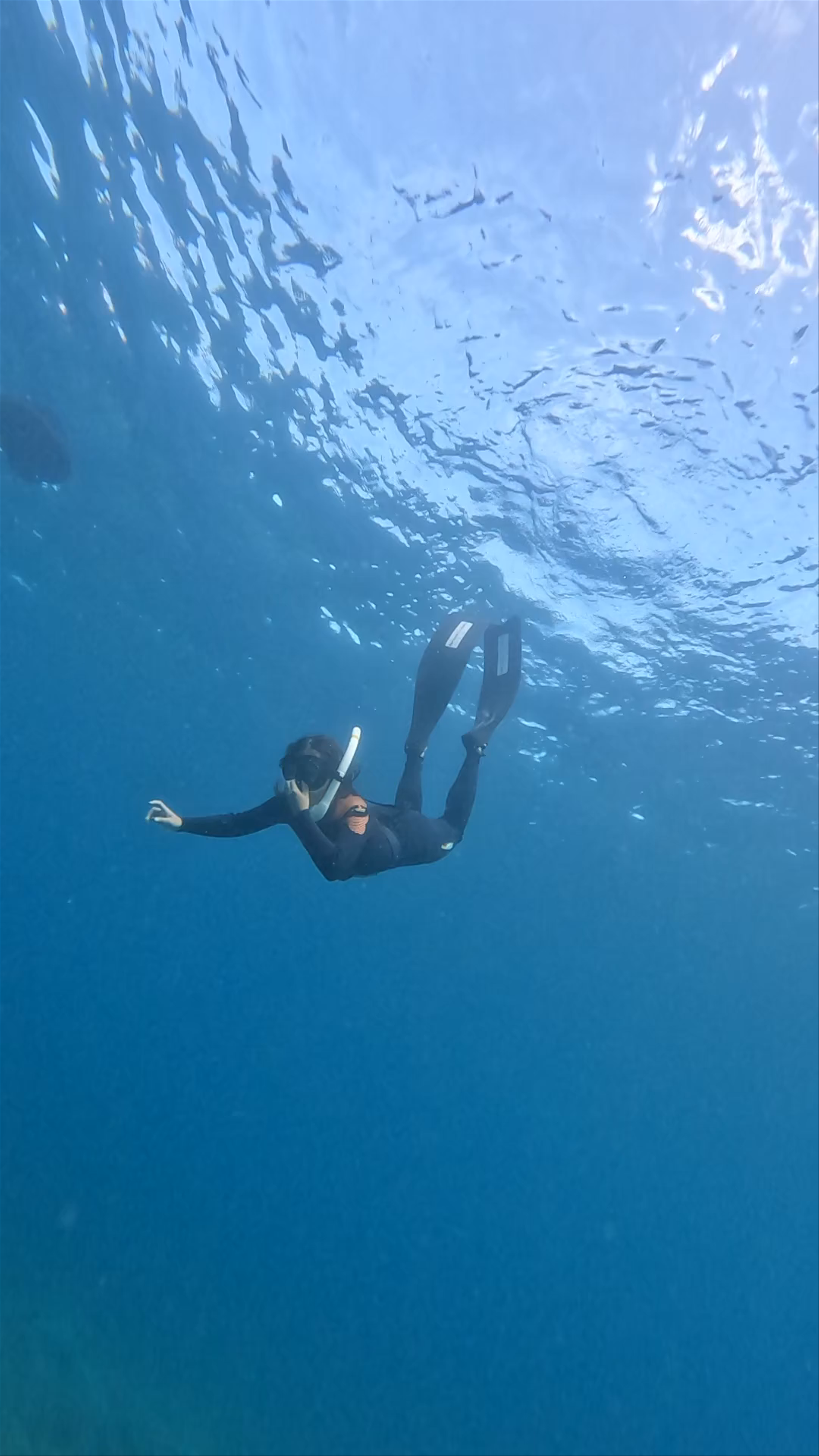 anahaw Restaurant & Yoga Studio