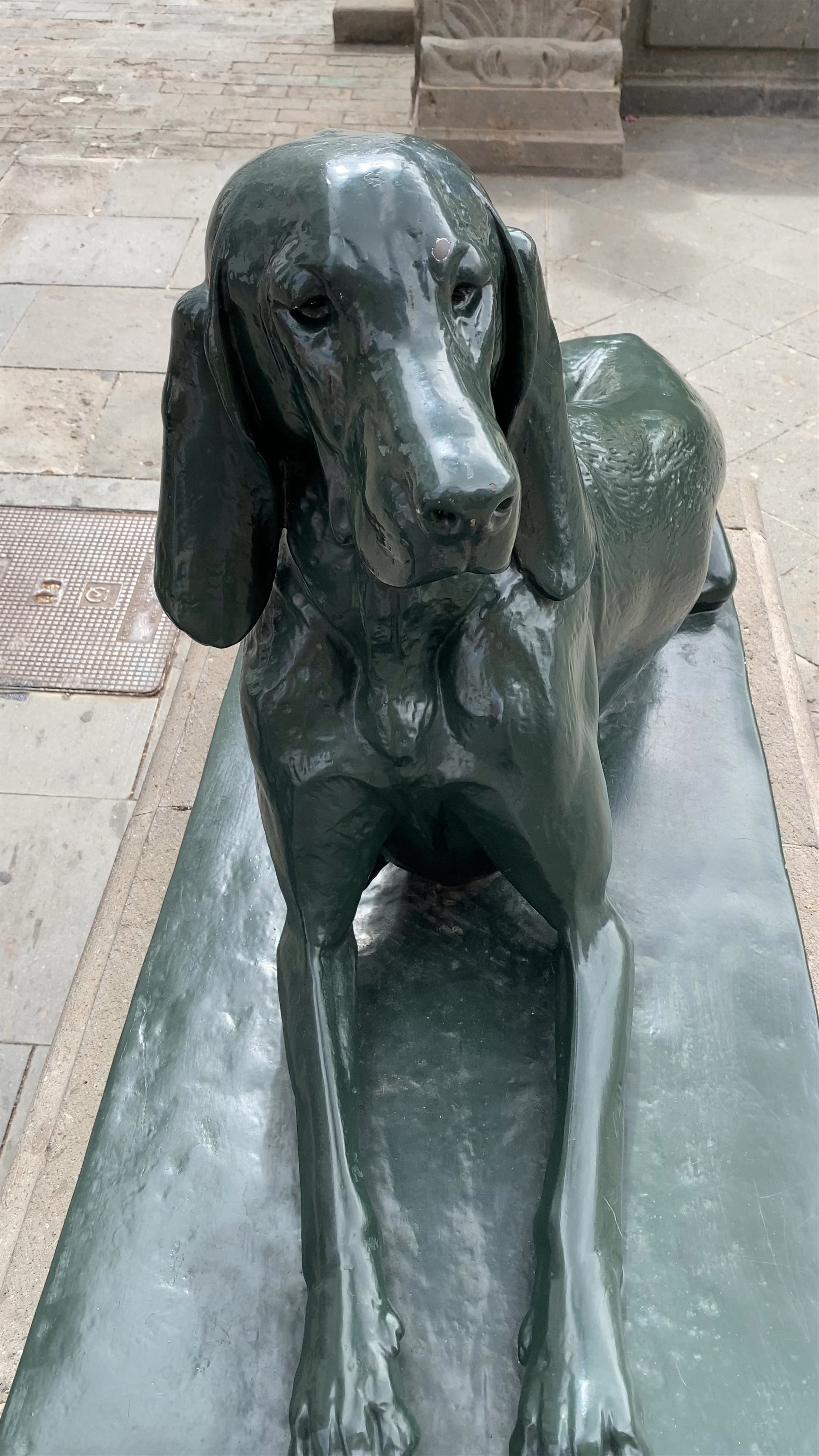 The Lively Canine Sculptures of Plaza Santa Ana, Las Palmas de Gran Canaria