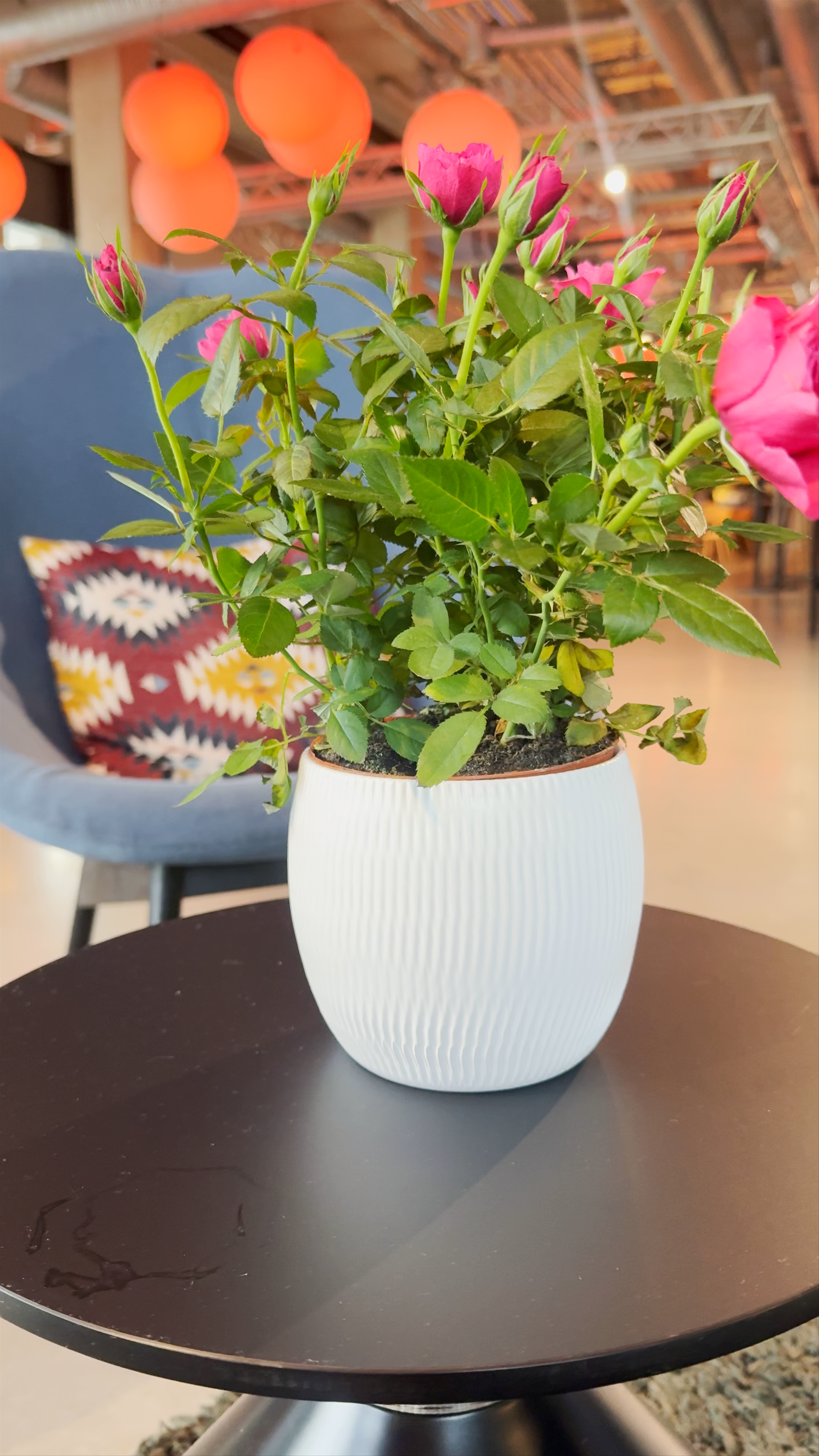 Comfort Hotel LT - Rock 'n' Roll Vilnius