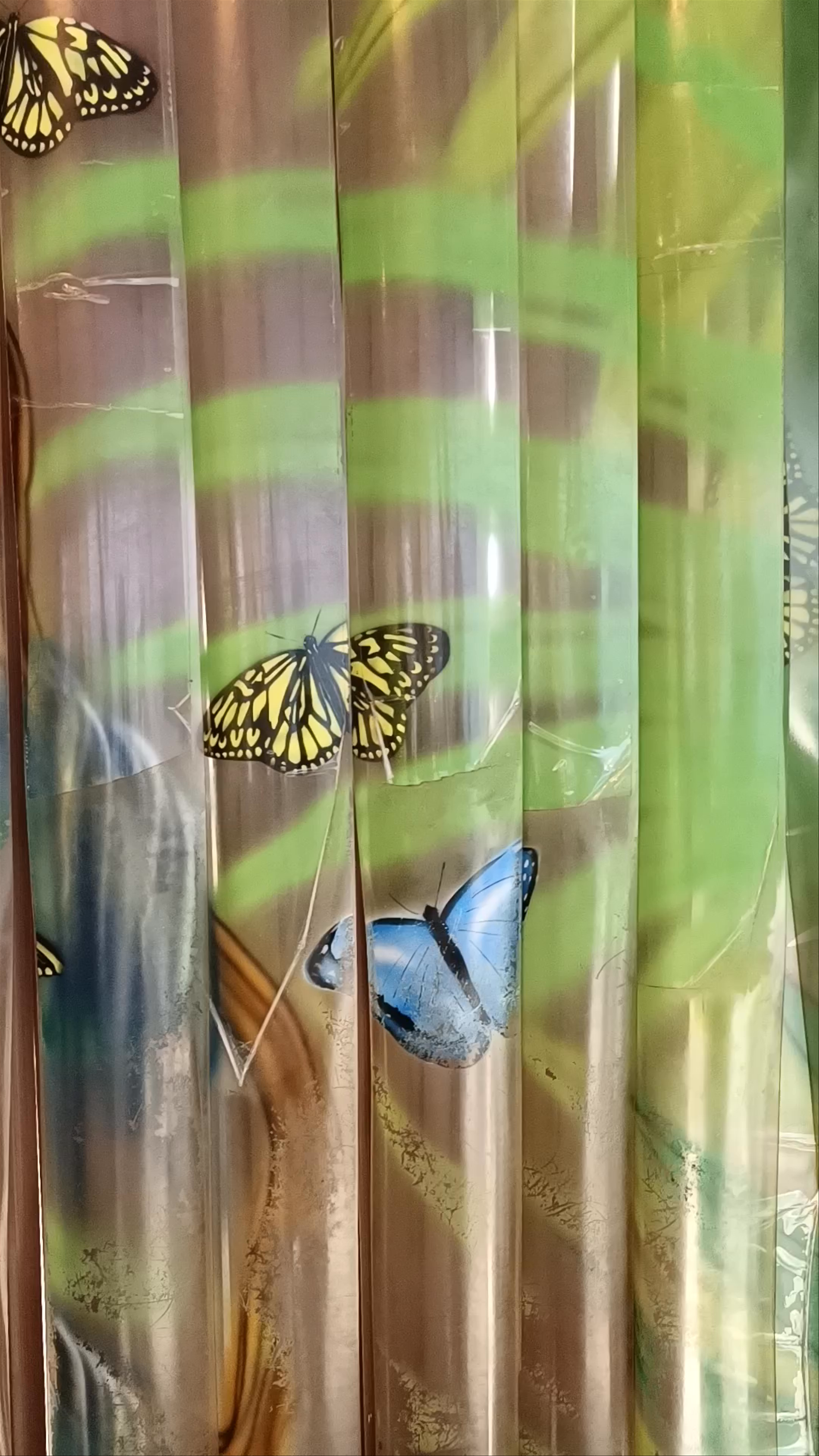 Mariposario del Drago Butterfly Park: A Living Oasis in Icod de los Vinos