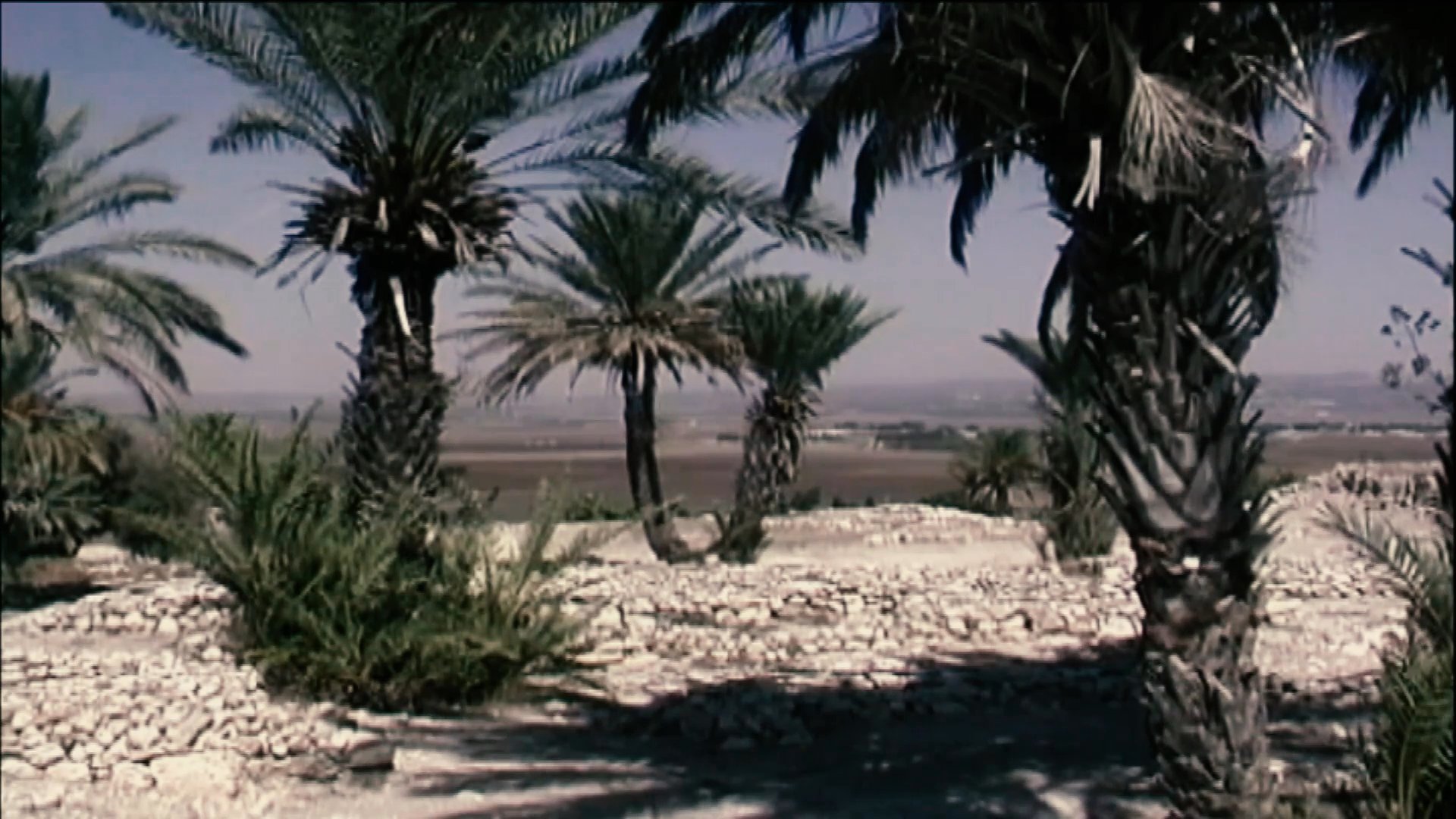 An expert presents an analysis of an archaeological landscape, discussing historical findings while positioned on-site. The footage transitions between studio commentary and outdoor location shots to provide context for the investigation.