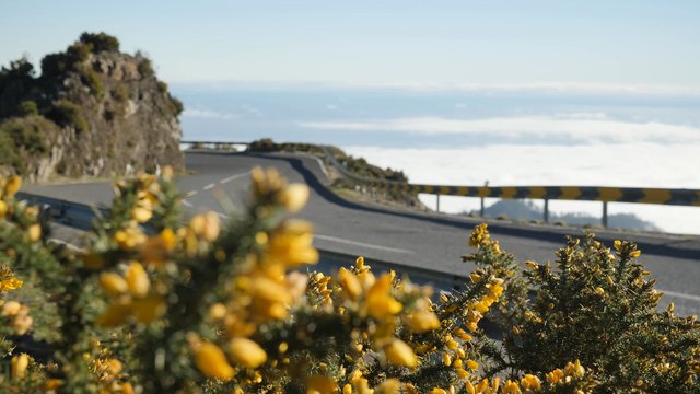 Un automóvil conduciendo por una carretera con curvas