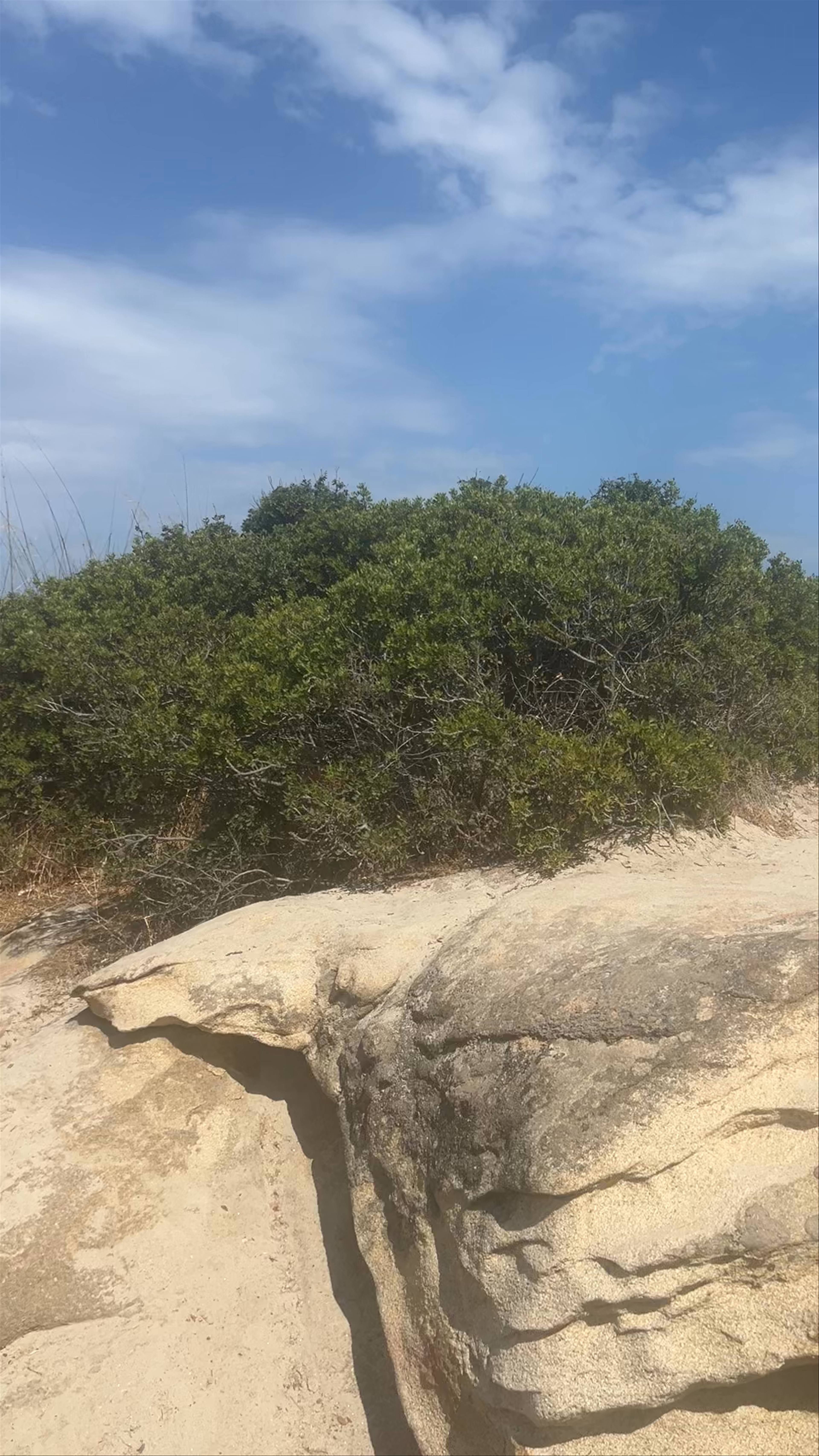Orange Beach