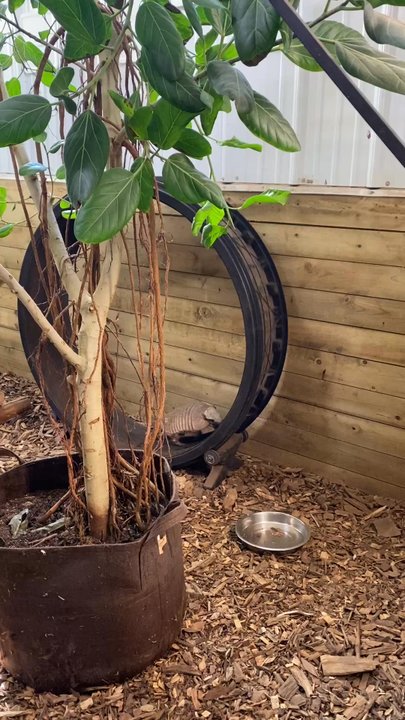The Creature Conservancy - Community Service/Non-Profit Near Me - Ann Arbor, Michigan